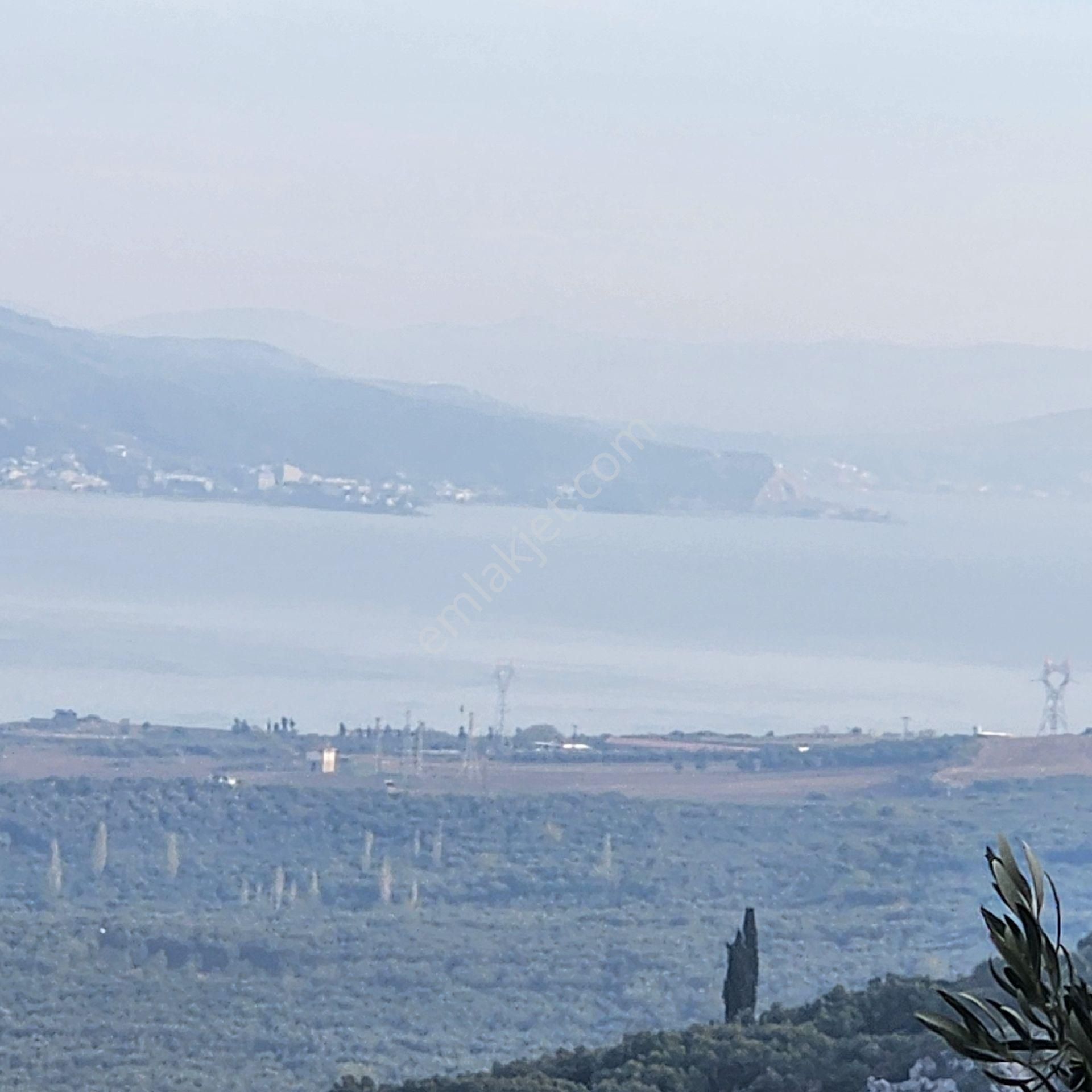 Yatırım Gayrımenkul Den Edıncık Te Denız Manza Lı Kadastro Yoluna Sıfır 4600 M2 Zeytınlık - Görsel 5