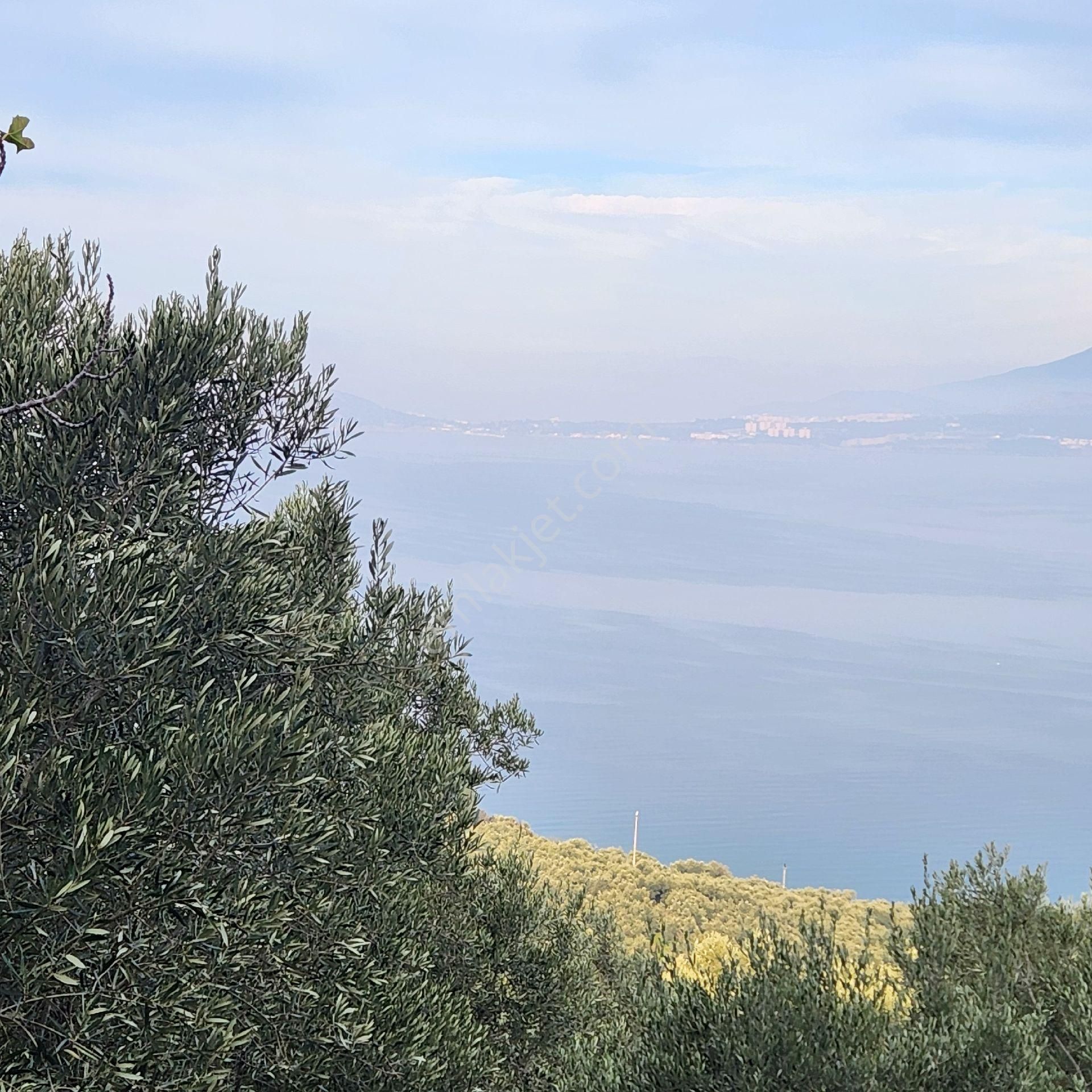 Yatırım Gayrımenkul Den Edıncık Mah Denız Manzası Kadastro Yoluna Cephe 2969 - Görsel 2