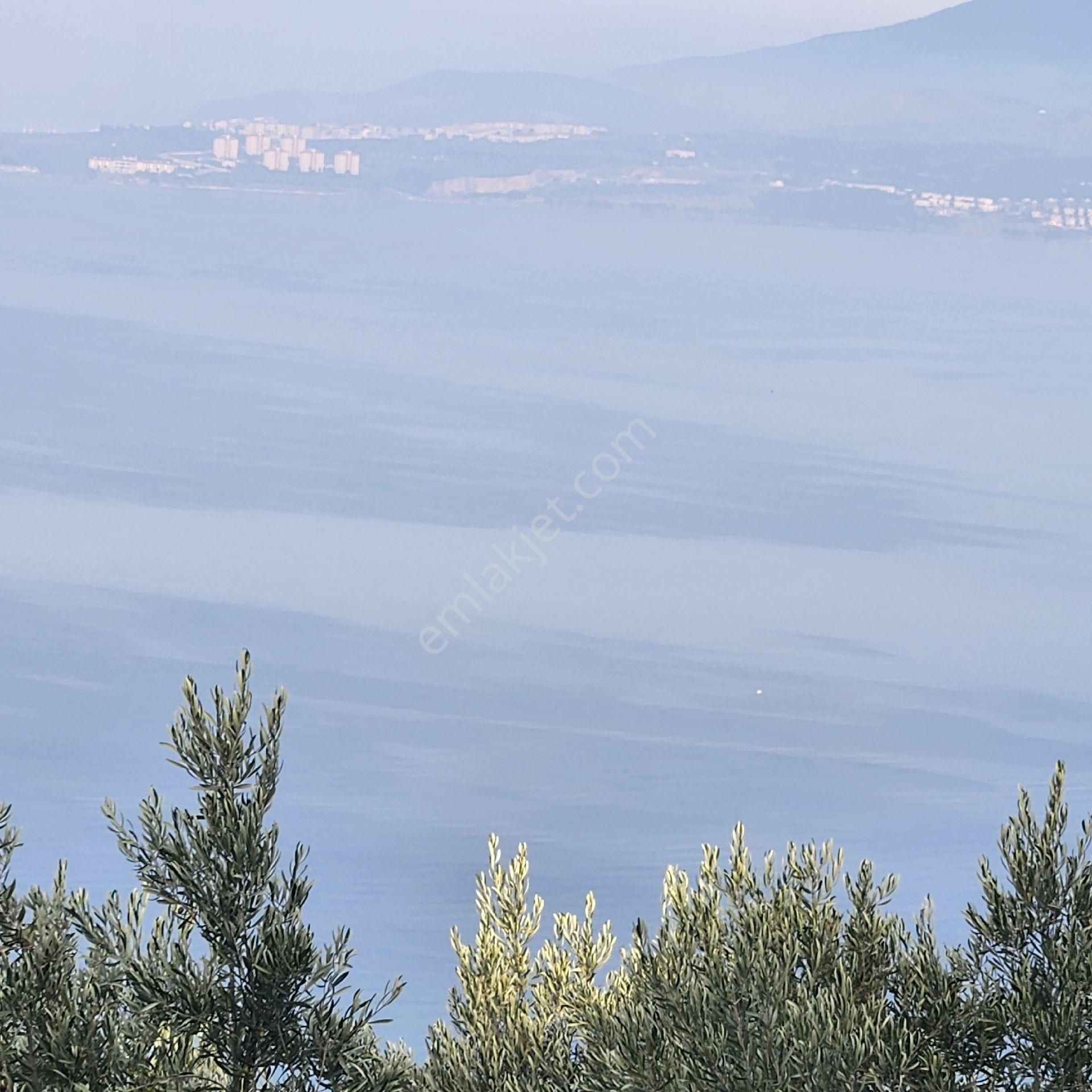 Yatırım Gayrımenkul Den Edıncık Mah Denız Manzası Kadastro Yoluna Cephe 2969