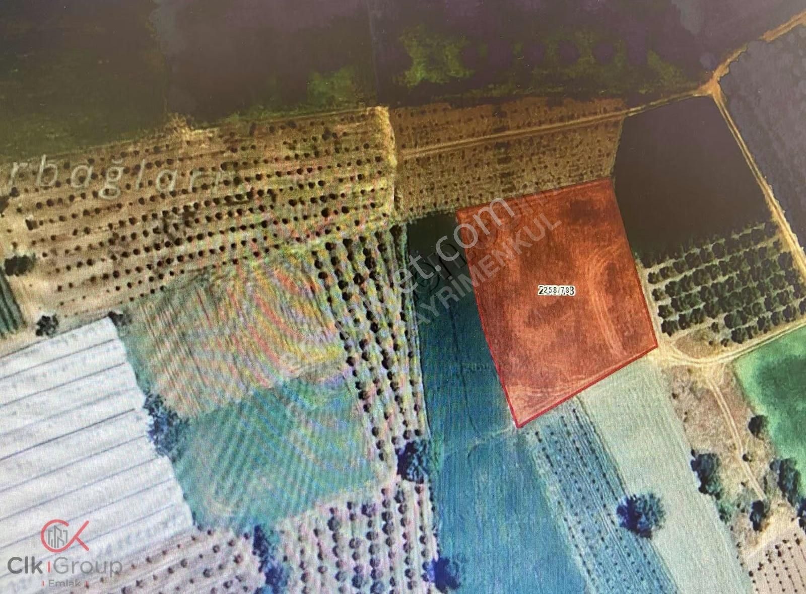 Clk'dan Elmalıda Satılık Sondajlı Yola Cephe 2700m² Elma Bahçesi