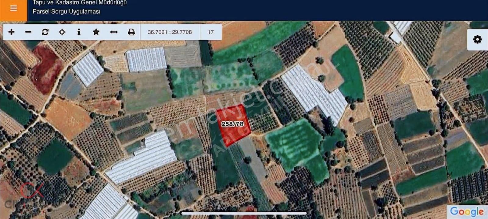 Clk'dan Elmalıda Satılık Sondajlı Yola Cephe 2700m² Elma Bahçesi - Görsel 4