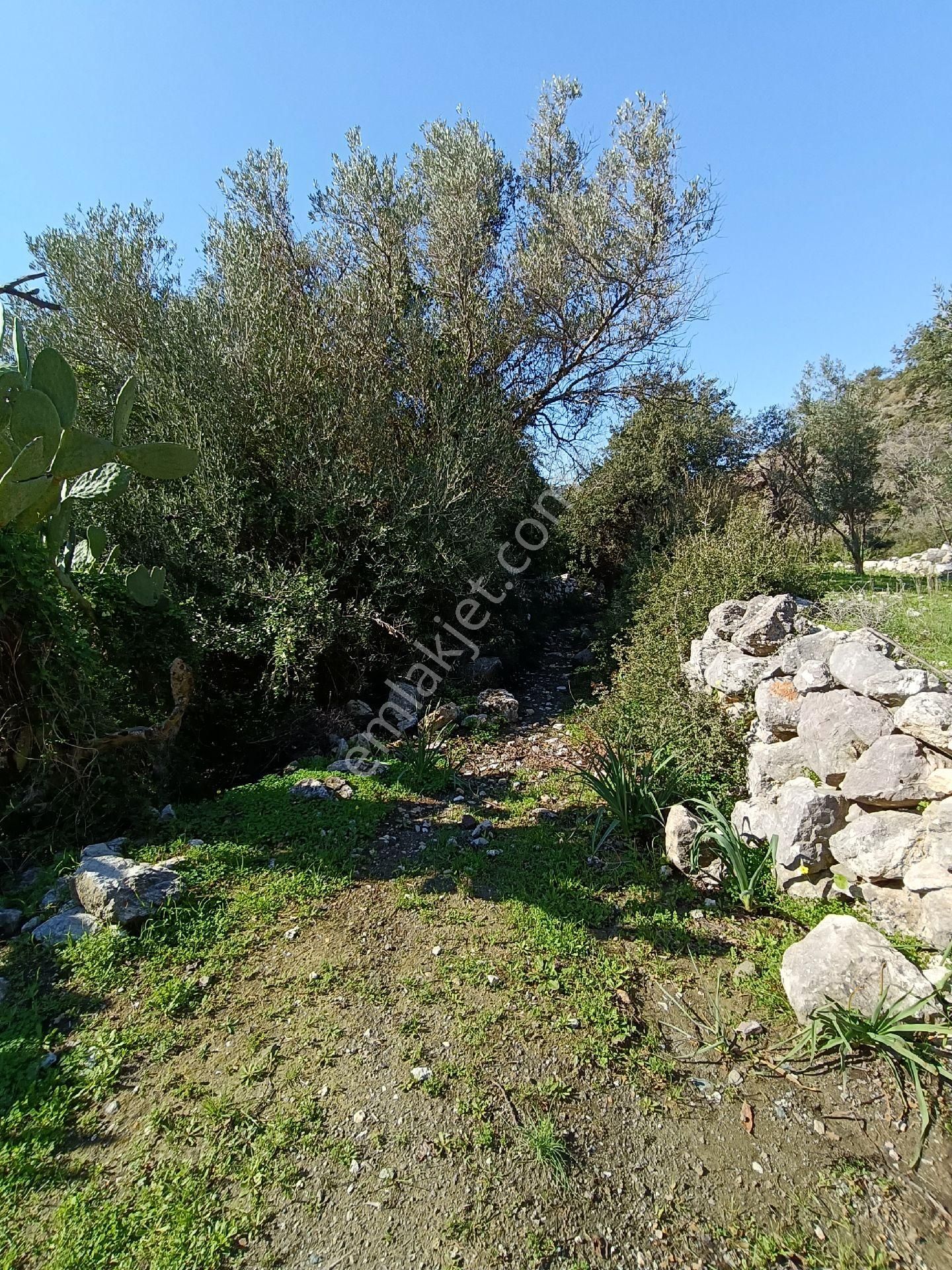 Joker: Marmaris Söğüt Yol Cephe Yatırıma Uygun Tarla - Görsel 6