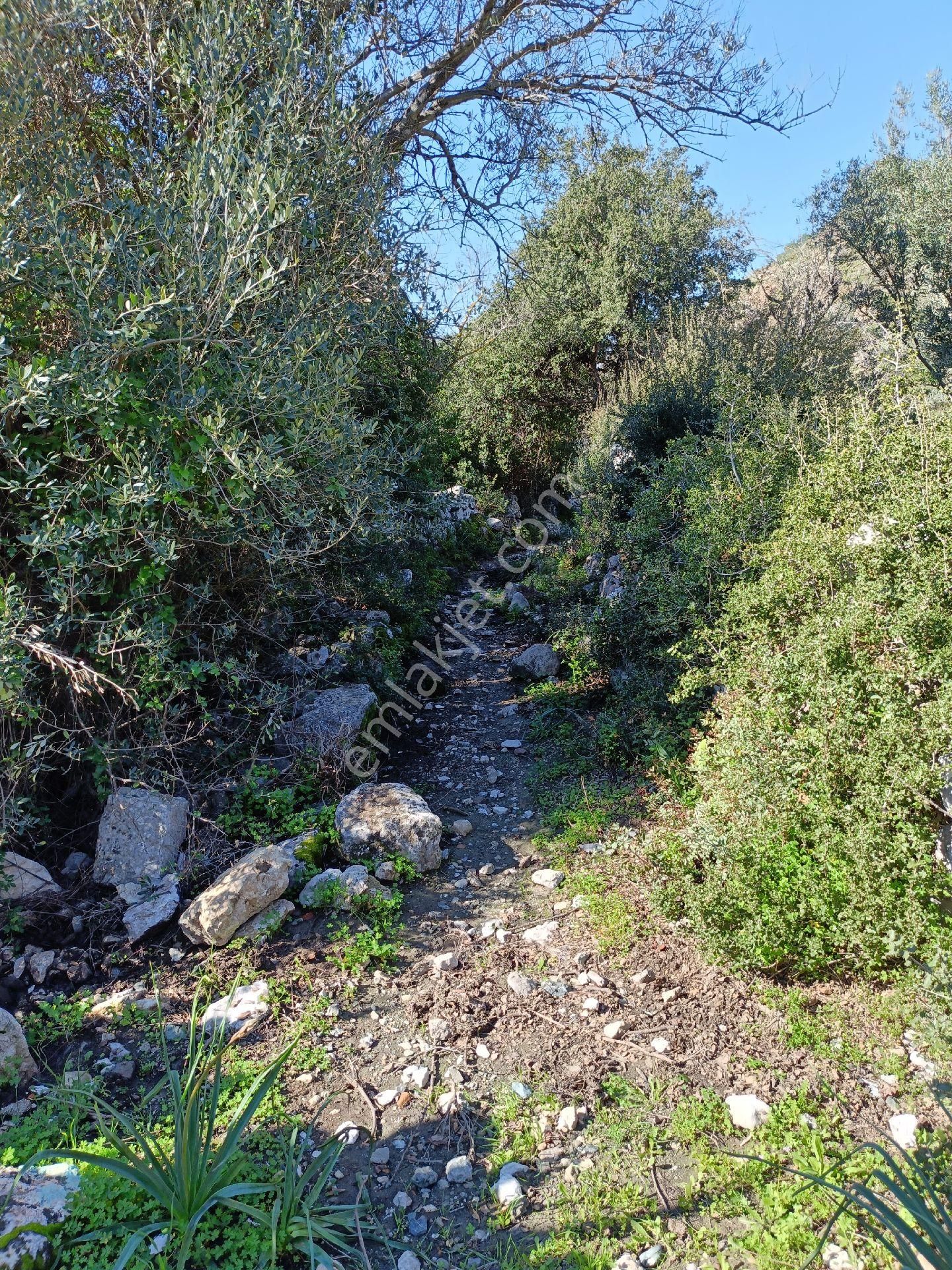 Joker: Marmaris Söğüt Yol Cephe Yatırıma Uygun Tarla - Görsel 13