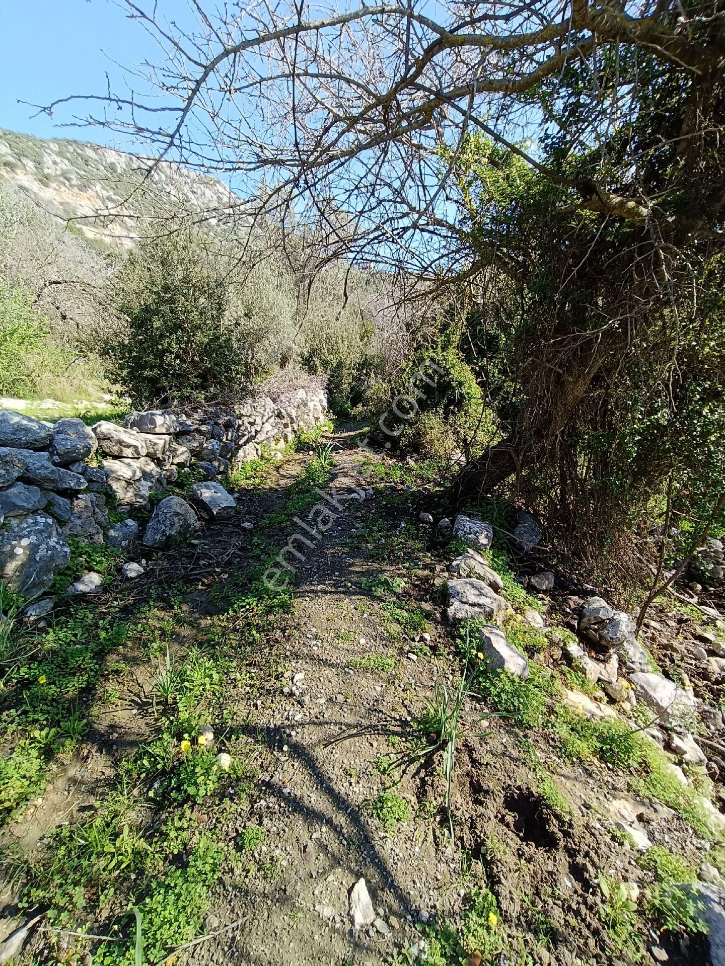 Joker: Marmaris Söğüt Yol Cephe Yatırıma Uygun Tarla - Görsel 12