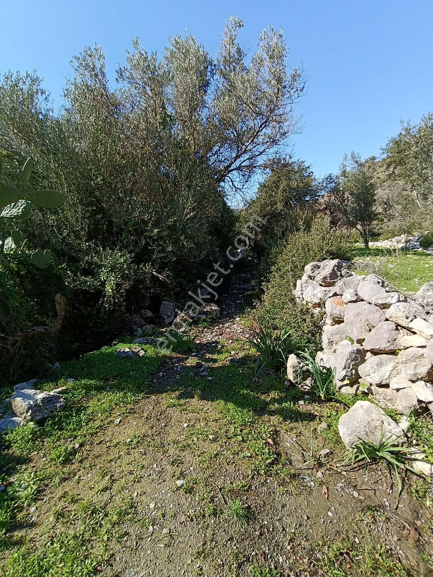 Joker: Marmaris Söğüt Yol Cephe Yatırıma Uygun Tarla - Görsel 9