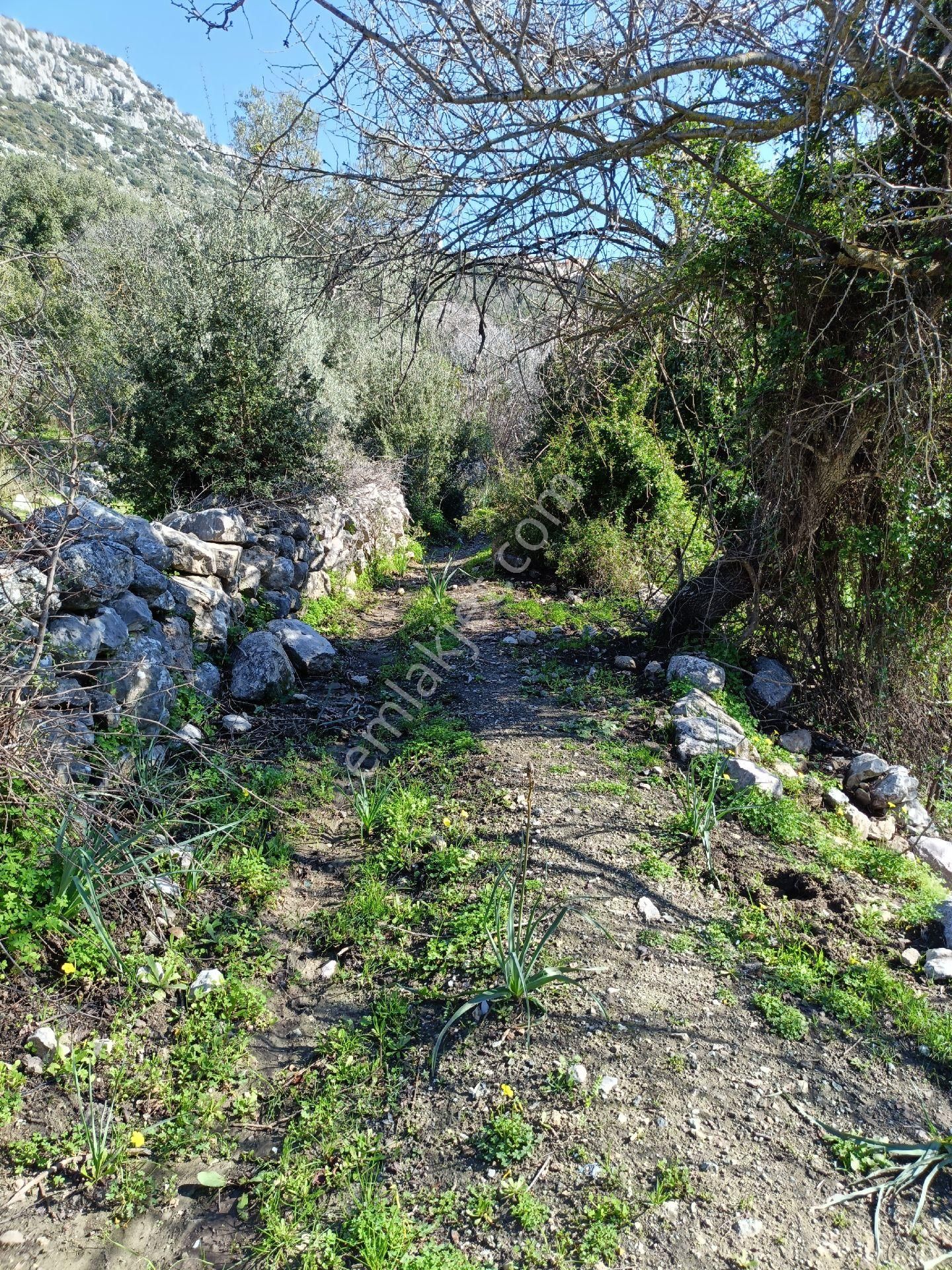 Joker: Marmaris Söğüt Yol Cephe Yatırıma Uygun Tarla - Görsel 7