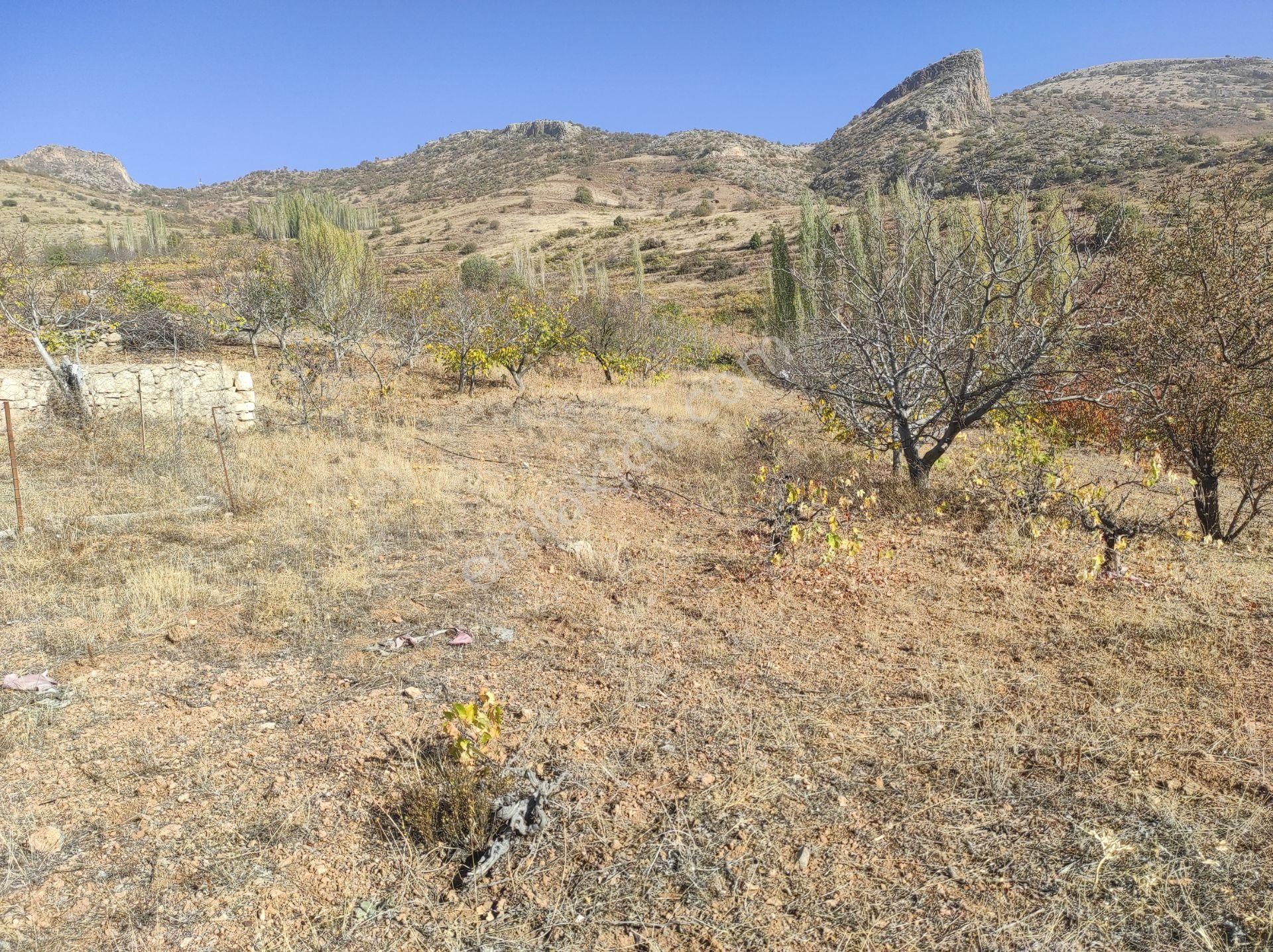 Konya Hadim Yukarı Eşenler Köyünde 235 M² Bağımız Satılıktır - Görsel 2