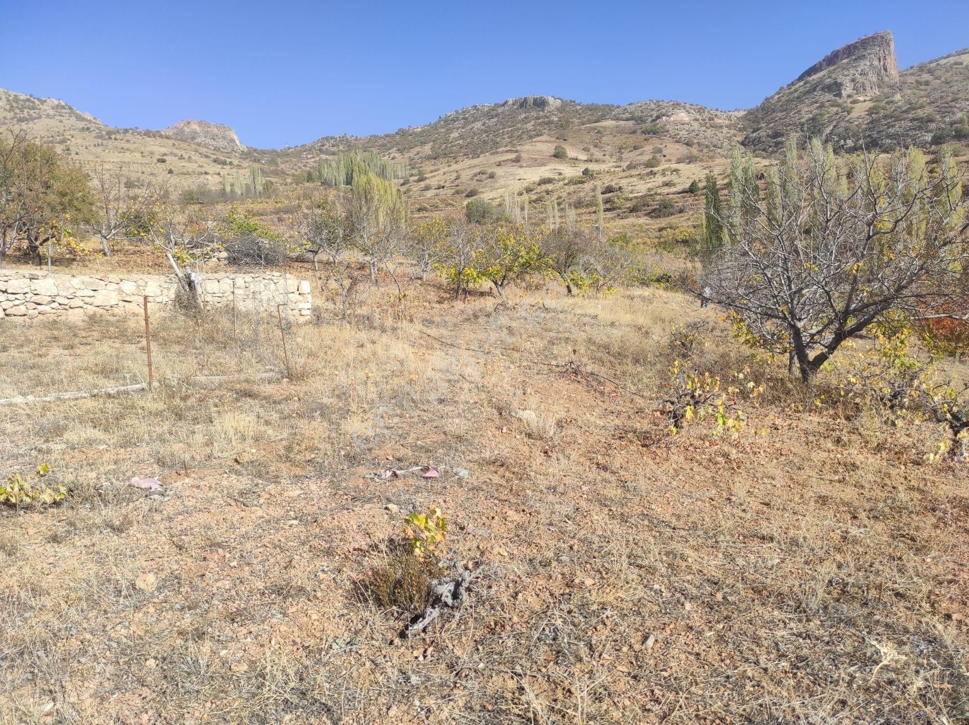 Konya Hadim Yukarı Eşenler Köyünde 235 M² Bağımız Satılıktır - Görsel 6