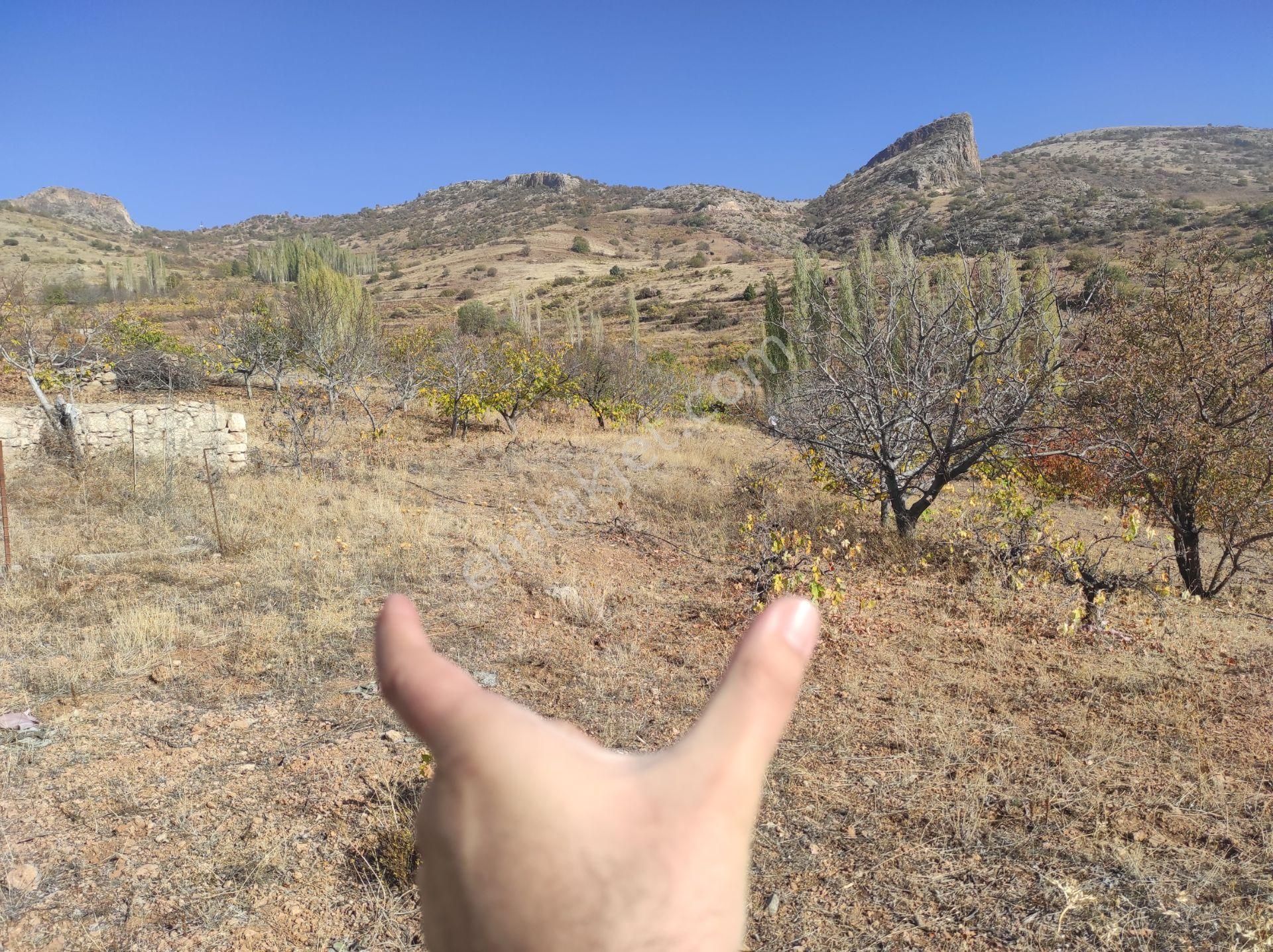 Konya Hadim Yukarı Eşenler Köyünde 235 M² Bağımız Satılıktır - Görsel 10