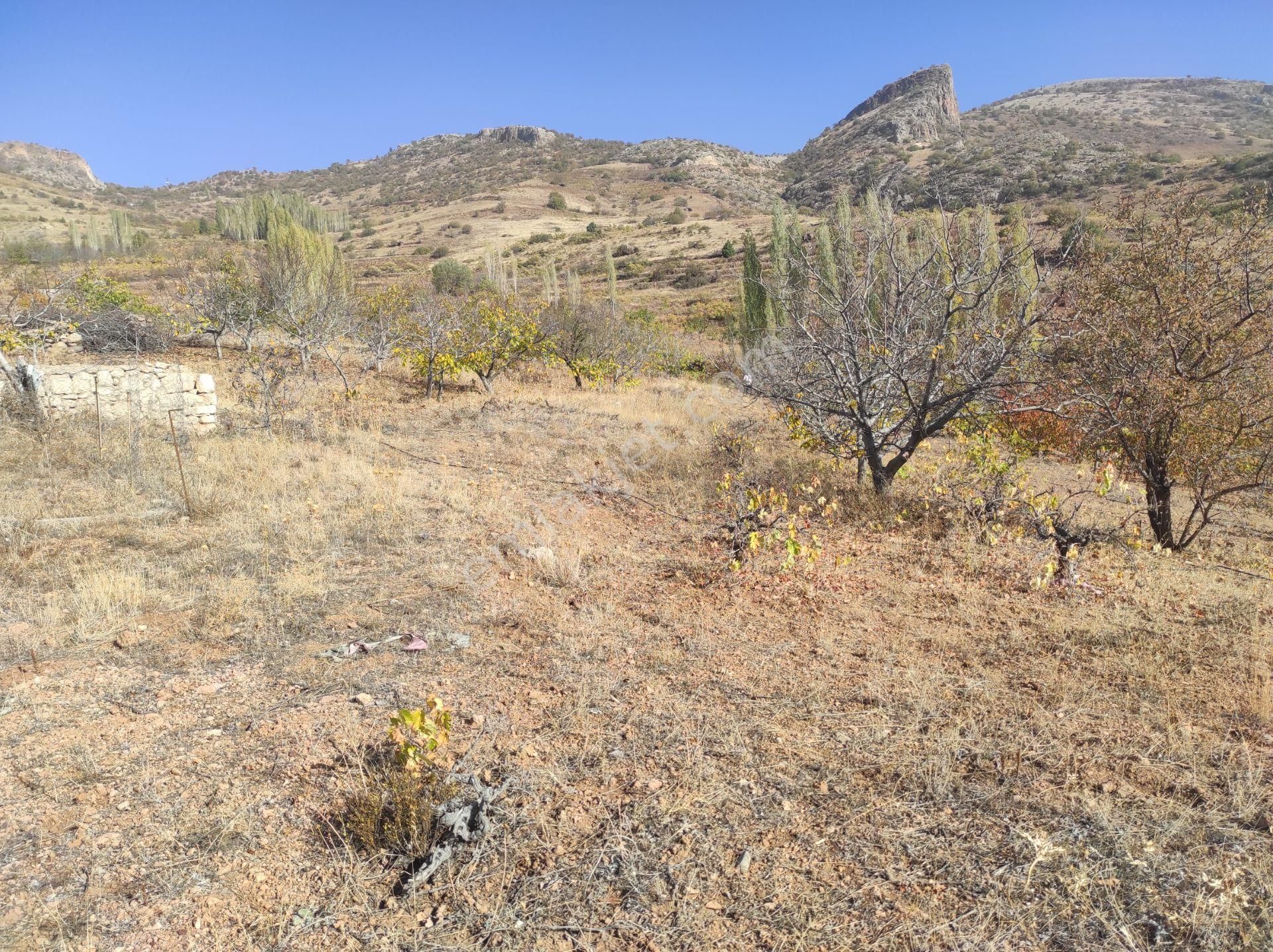 Konya Hadim Yukarı Eşenler Köyünde 235 M² Bağımız Satılıktır - Görsel 11