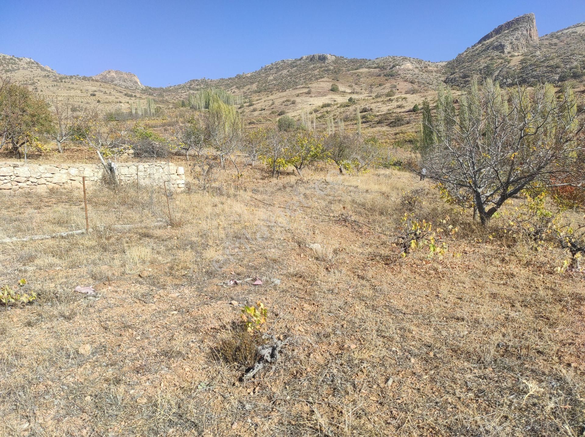 Konya Hadim Yukarı Eşenler Köyünde 235 M² Bağımız Satılıktır - Görsel 4