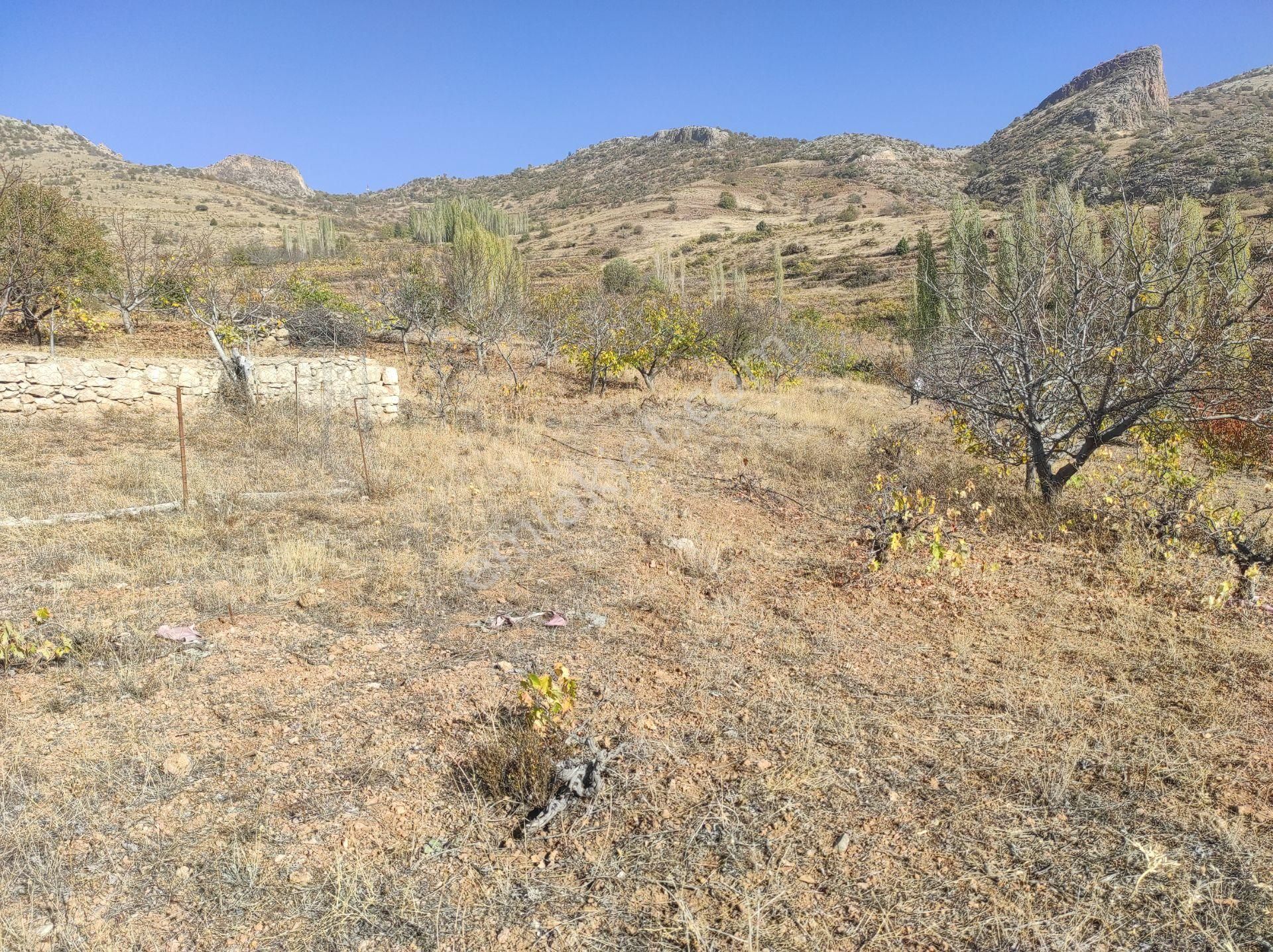 Konya Hadim Yukarı Eşenler Köyünde 235 M² Bağımız Satılıktır - Görsel 8