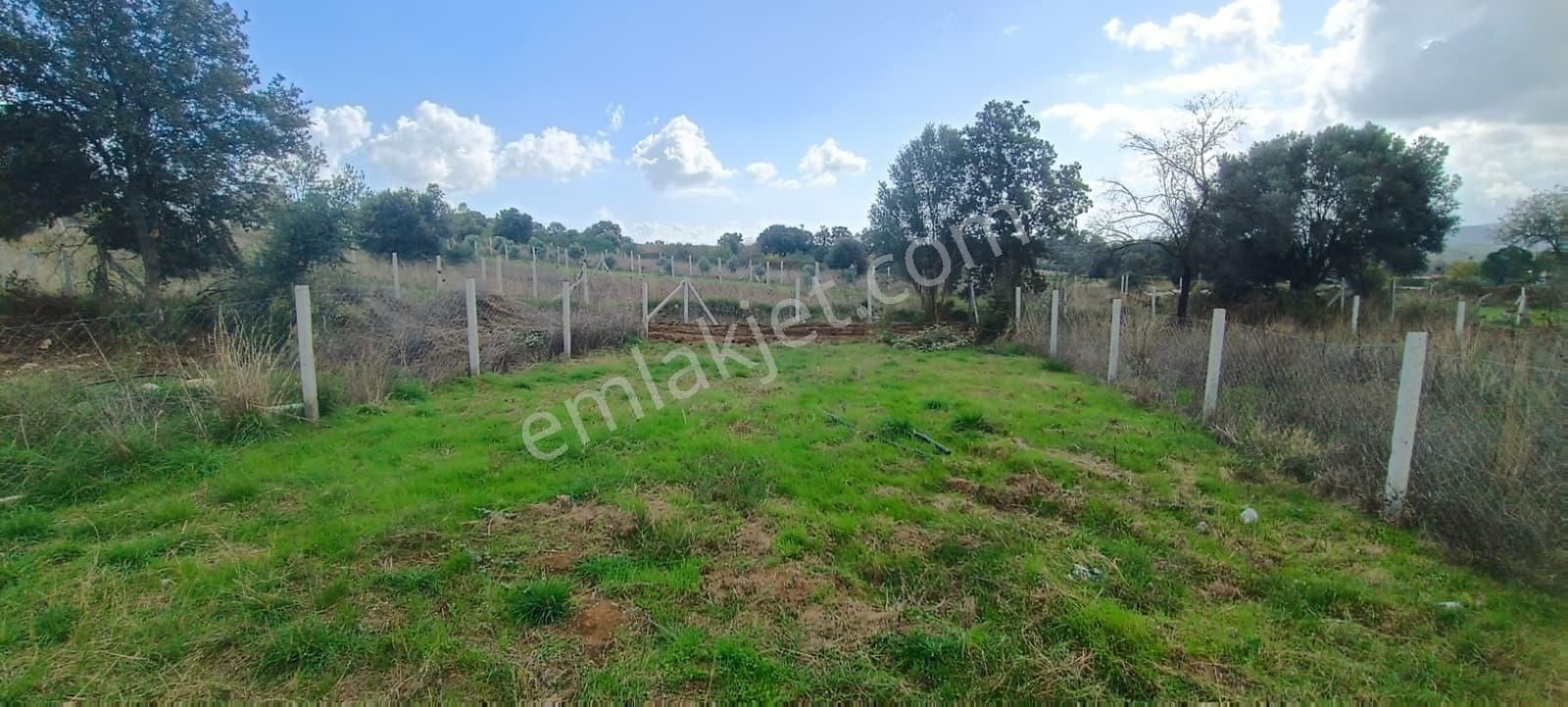 Menderes Akçaköyde Doğayla İç İçe 280 M² Tapulu Satılık Tarla - Görsel 8