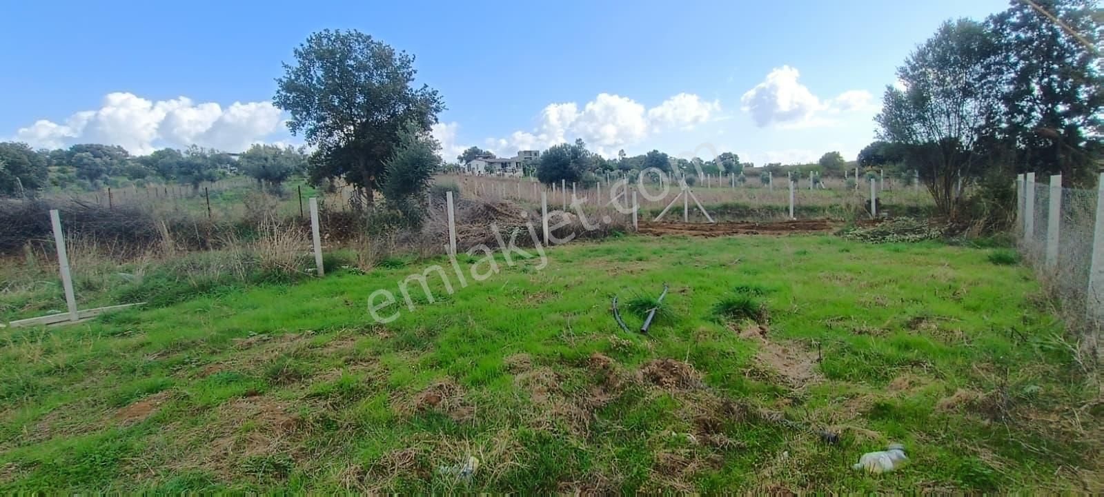 Menderes Akçaköyde Doğayla İç İçe 280 M² Tapulu Satılık Tarla - Görsel 24