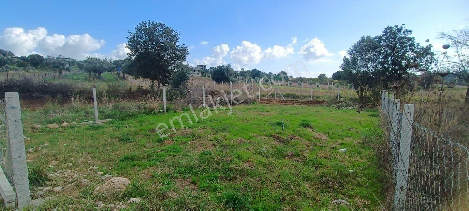 Menderes Akçaköyde Doğayla İç İçe 280 M² Tapulu Satılık Tarla - Görsel 31