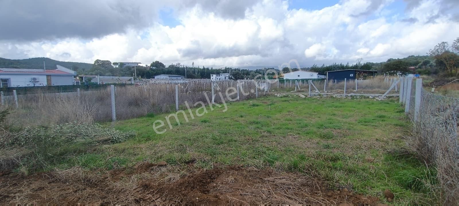 Menderes Akçaköyde Doğayla İç İçe 280 M² Tapulu Satılık Tarla - Görsel 10