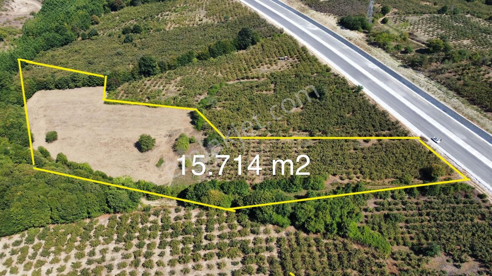 Karasu Karamüezzinler Mah. Karasu-kaynarca Duble Yoluna Cepheli 15.714 M2 Satılık Fındık Bahçesi - Görsel 2