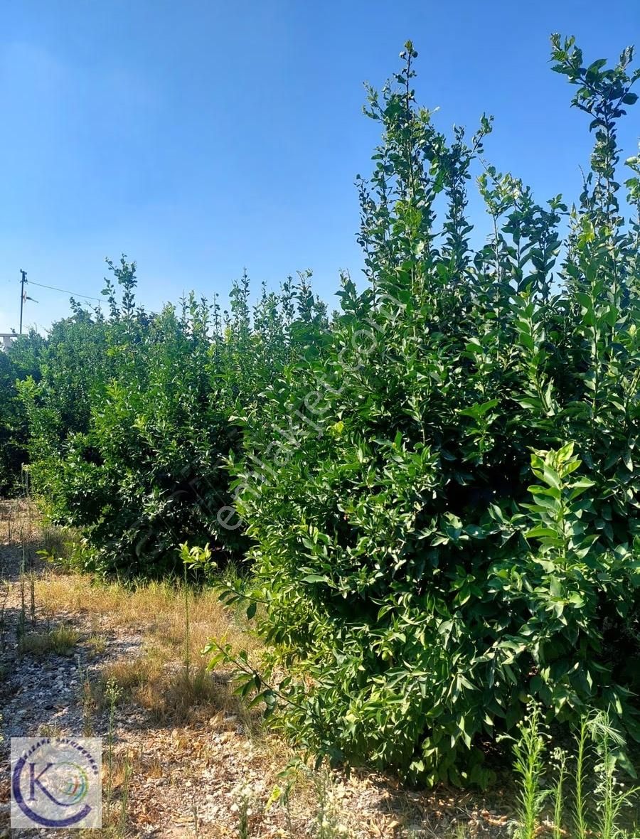 Puğkaracadağ Köyü'nde 2 Dönüm Arsa İçerisinde Satılık 2+1 Daire - Görsel 11