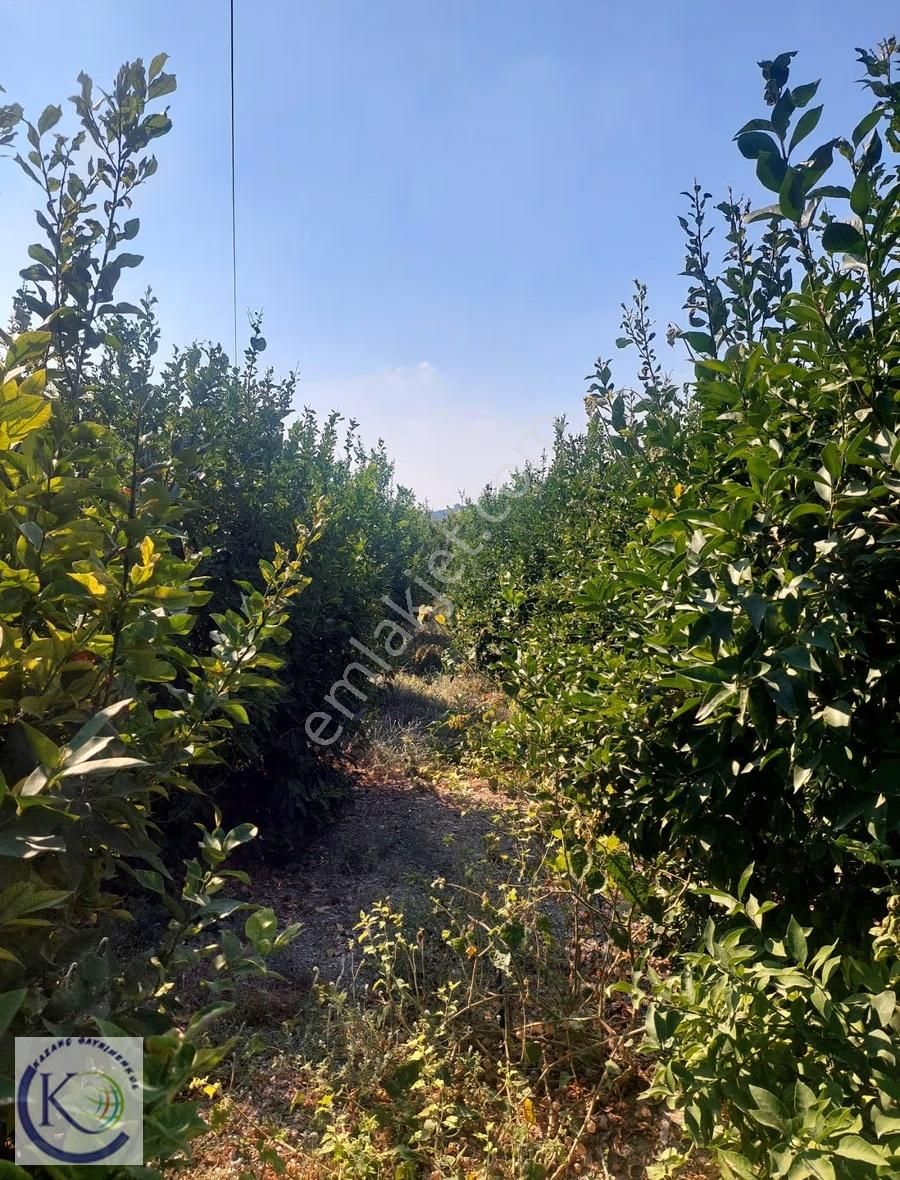 Puğkaracadağ Köyü'nde 2 Dönüm Arsa İçerisinde Satılık 2+1 Daire - Görsel 24