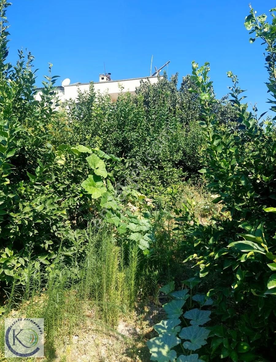 Puğkaracadağ Köyü'nde 2 Dönüm Arsa İçerisinde Satılık 2+1 Daire - Görsel 17