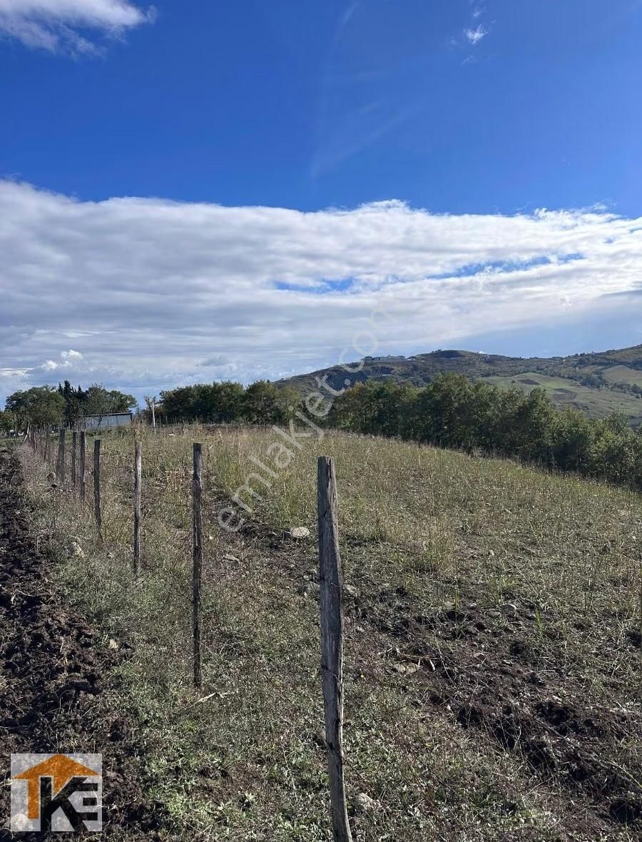 Karadeniz Emlaktan Atakum Sarıtaş'da Acil! Satılık Tarla - Görsel 4