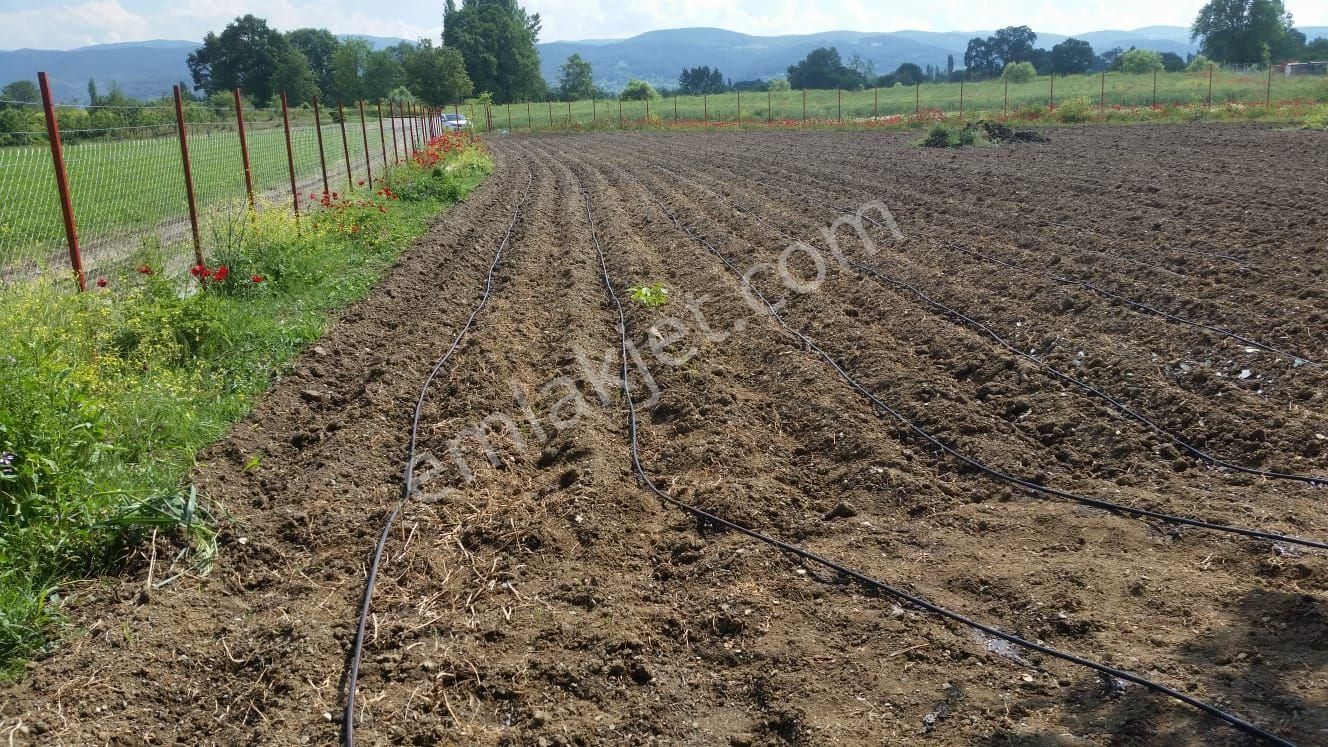 Bursa Nilüfer Yaylacık Tapulu Ürünlü Köy Cıvarı - Görsel 7