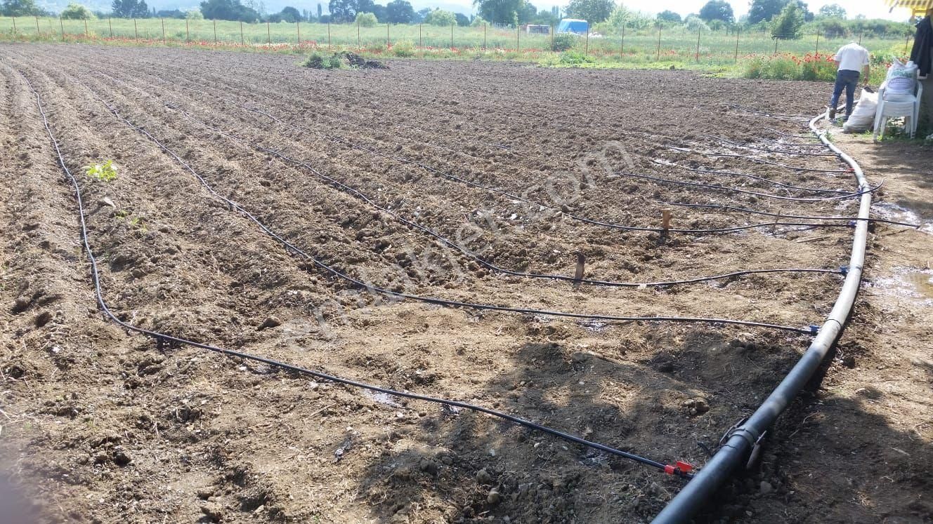 Bursa Nilüfer Yaylacık Tapulu Ürünlü Köy Cıvarı - Görsel 5