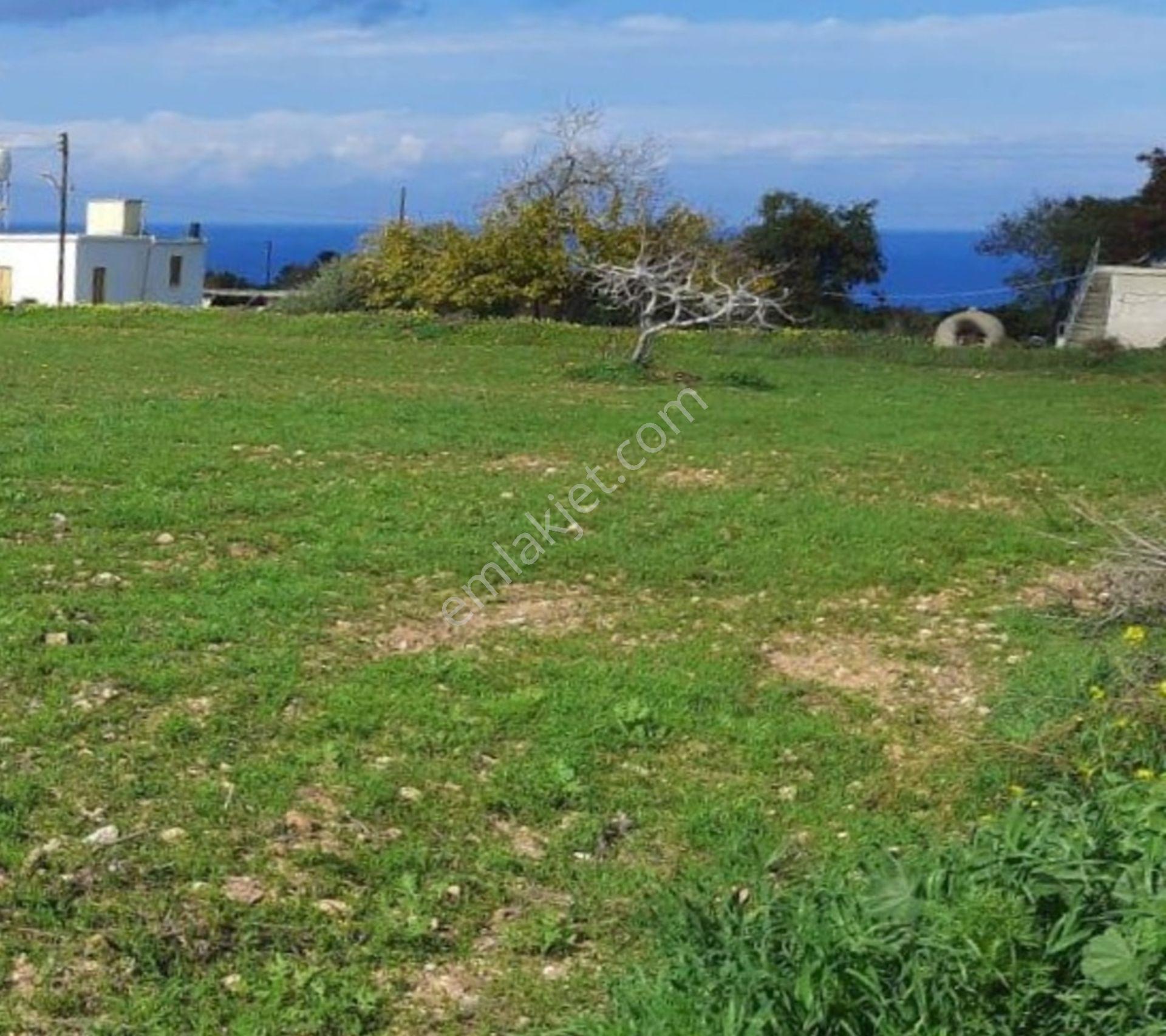 Sipahi De Yatırımlık 2 Kat İzinli 1.765 M2 Arsa - Görsel 4
