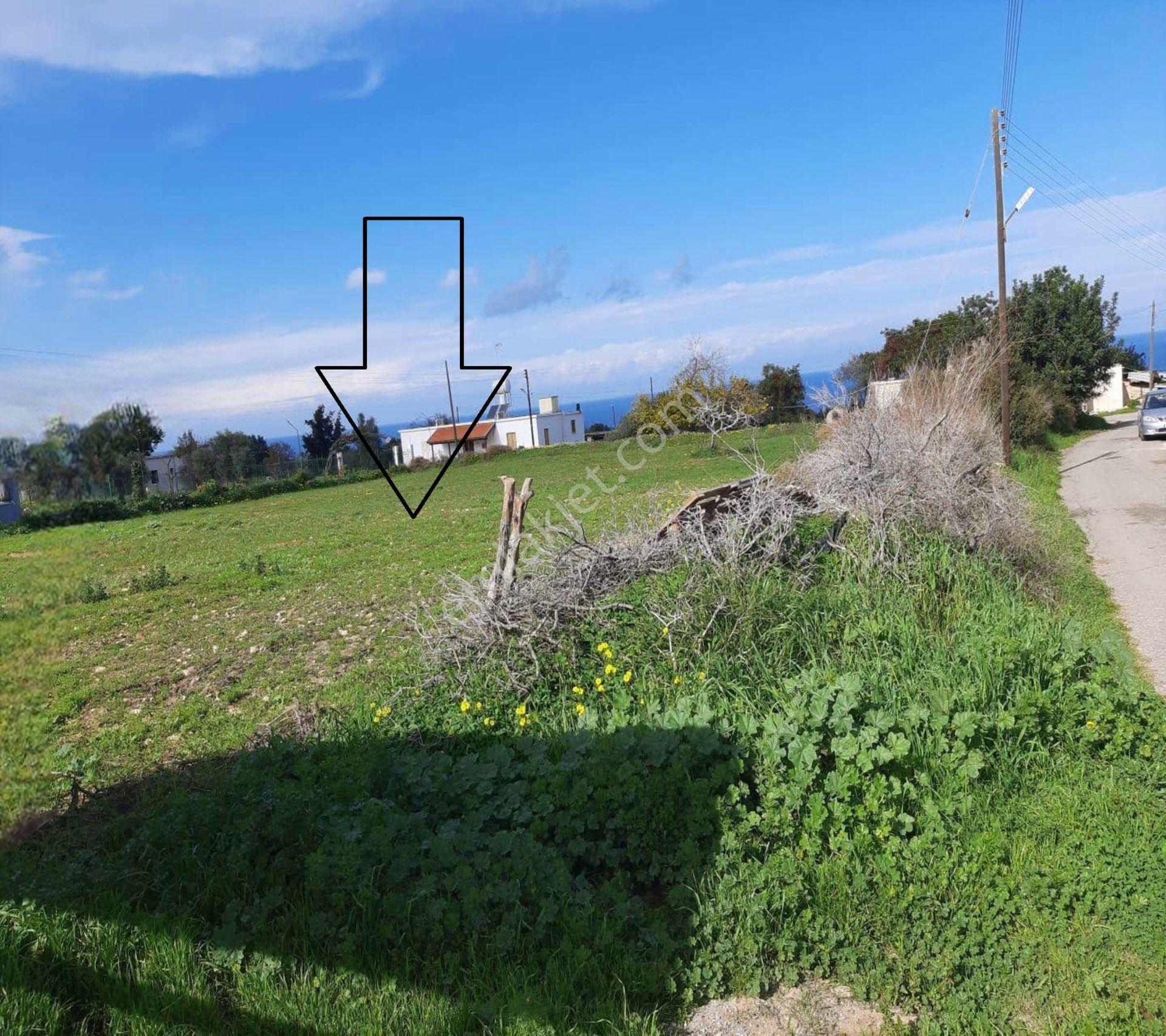 Sipahi De Yatırımlık 2 Kat İzinli 1.765 M2 Arsa - Görsel 5