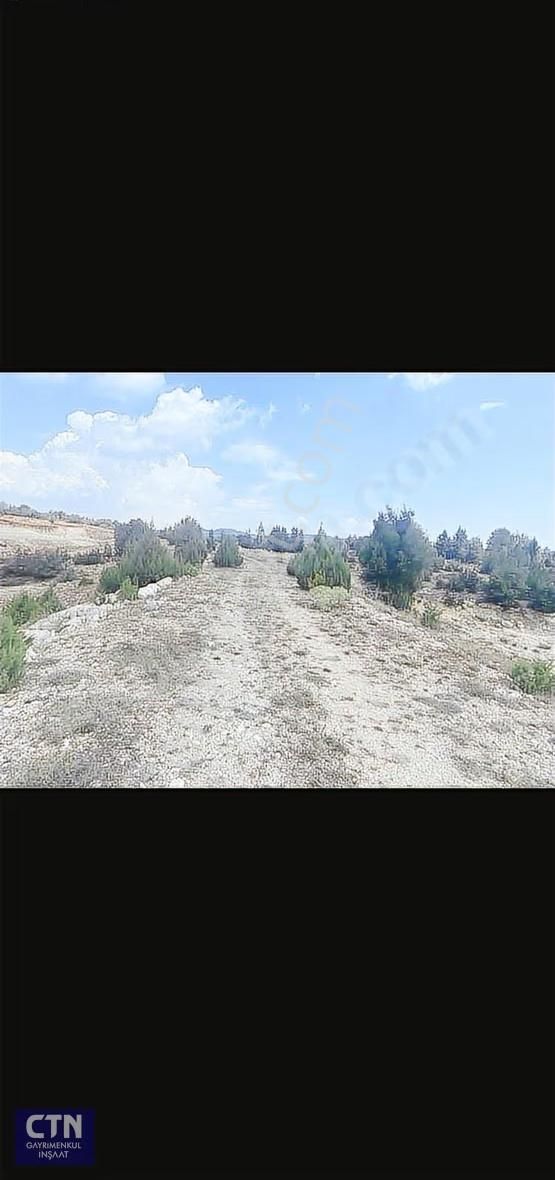Mersin Erdemli Kızılende 5 Dönüm Açılmış Satılık Uygun Tarla - Görsel 2