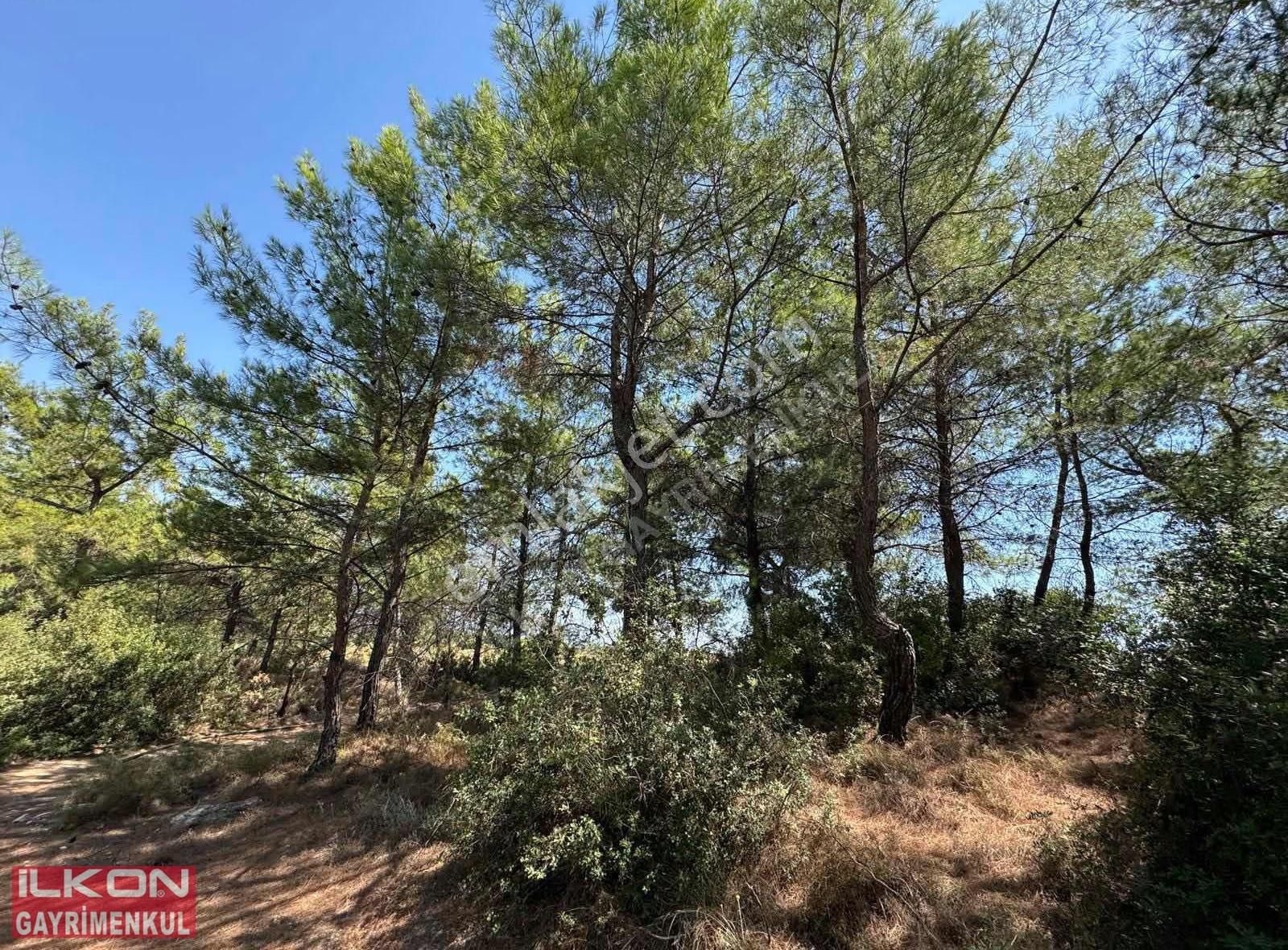 Seydikemer Yakabağ Mahallesinde İlkon'dan Satılık Tarla - Görsel 10