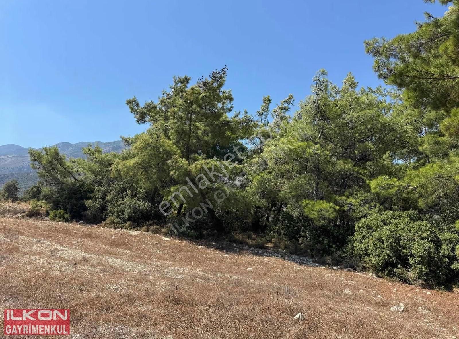 Seydikemer Yakabağ Mahallesinde İlkon'dan Satılık Tarla - Görsel 21
