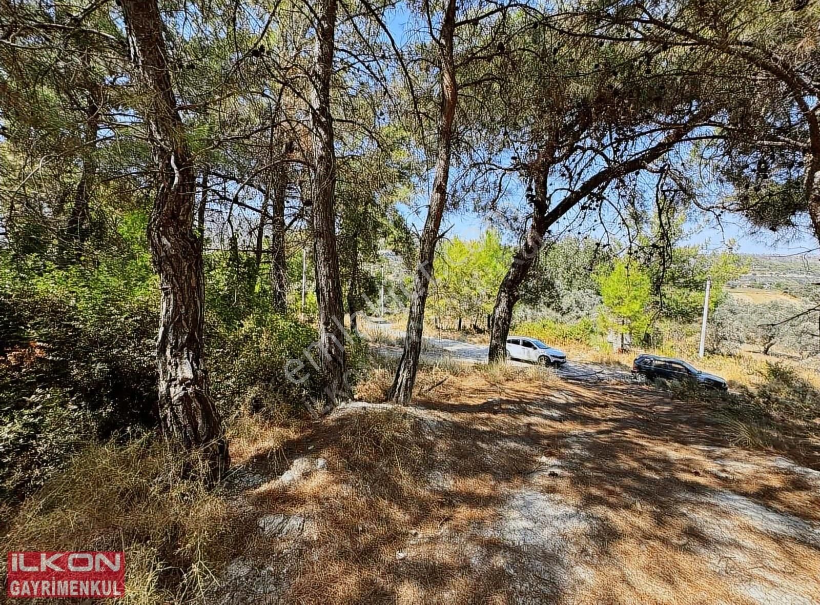 Seydikemer Yakabağ Mahallesinde İlkon'dan Satılık Tarla - Görsel 18