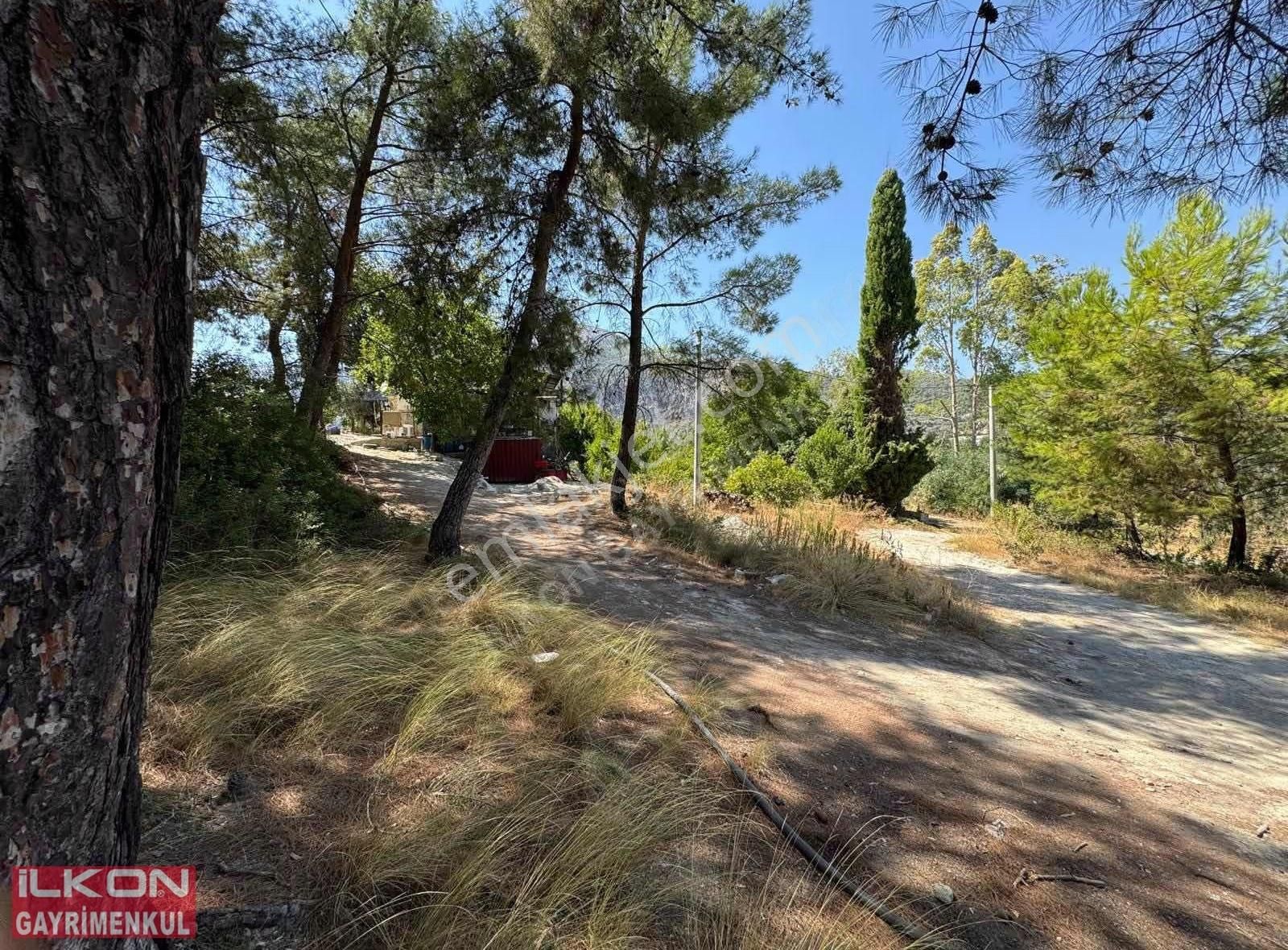 Seydikemer Yakabağ Mahallesinde İlkon'dan Satılık Tarla - Görsel 13