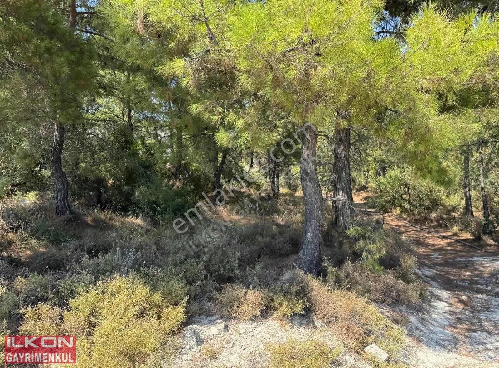 Seydikemer Yakabağ Mahallesinde İlkon'dan Satılık Tarla - Görsel 4