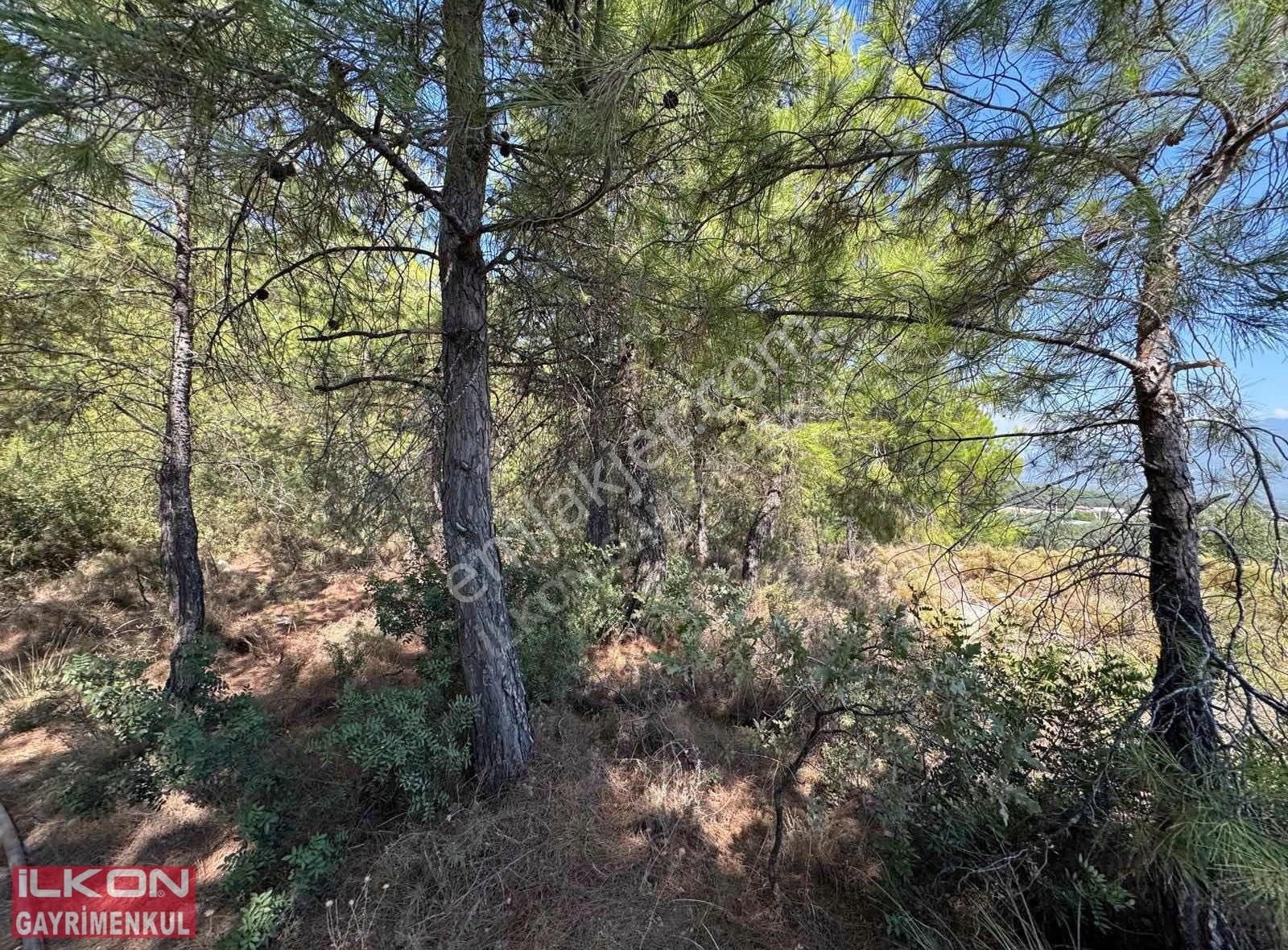 Seydikemer Yakabağ Mahallesinde İlkon'dan Satılık Tarla - Görsel 14