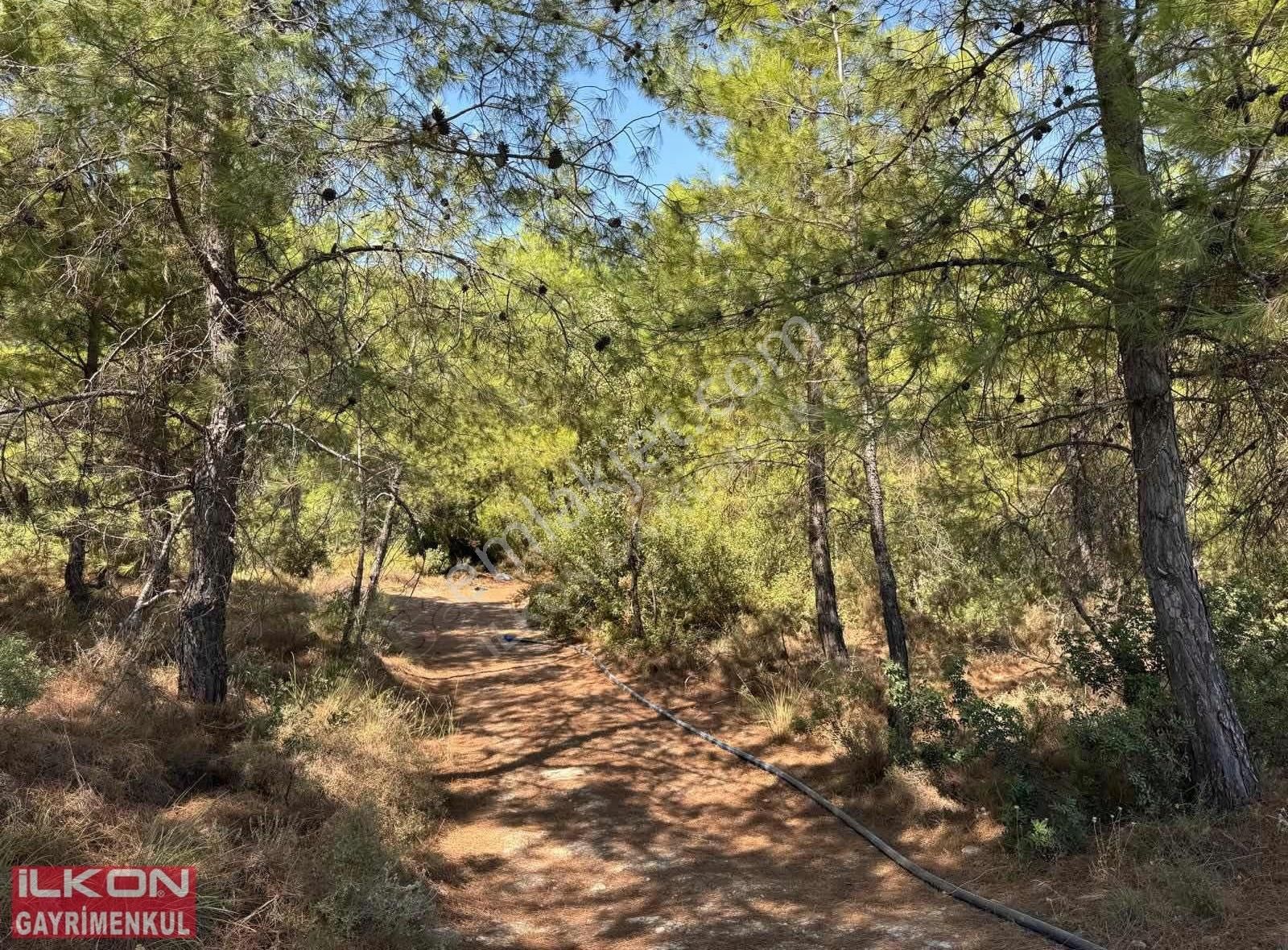Seydikemer Yakabağ Mahallesinde İlkon'dan Satılık Tarla - Görsel 8