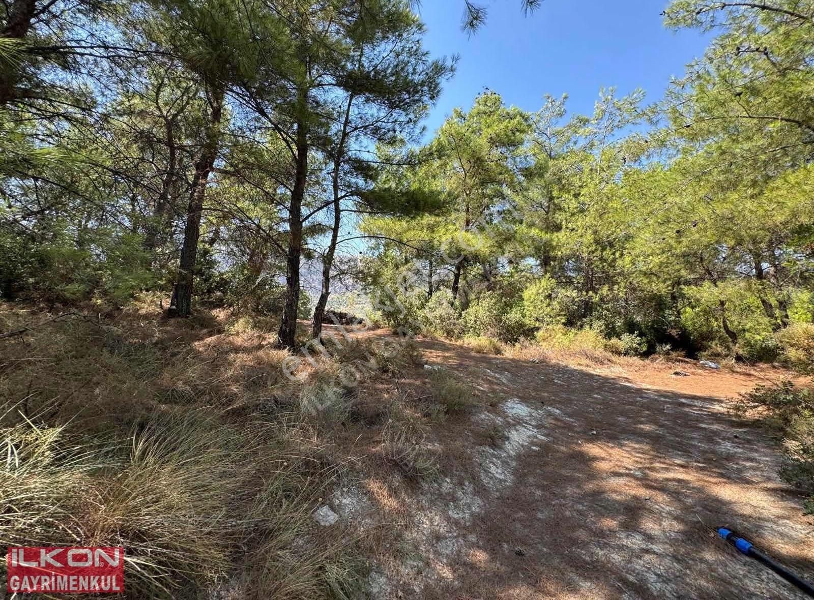 Seydikemer Yakabağ Mahallesinde İlkon'dan Satılık Tarla - Görsel 25