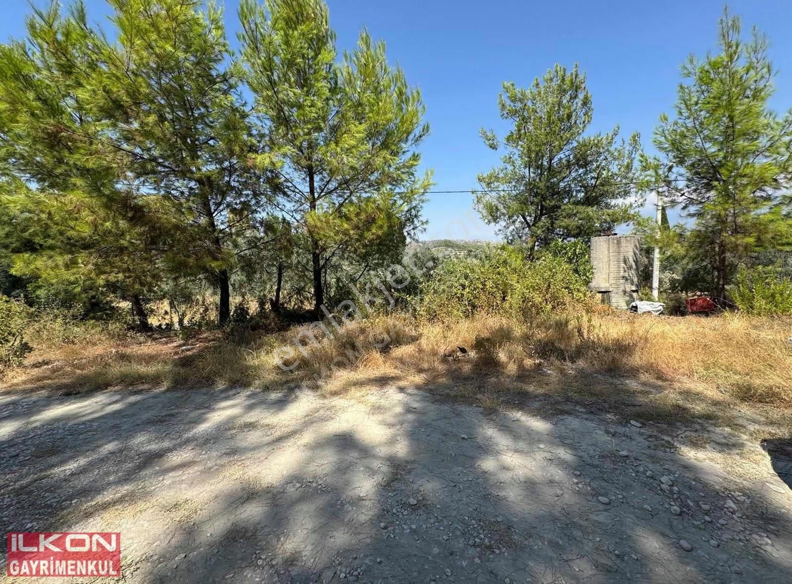 Seydikemer Yakabağ Mahallesinde İlkon'dan Satılık Tarla - Görsel 24