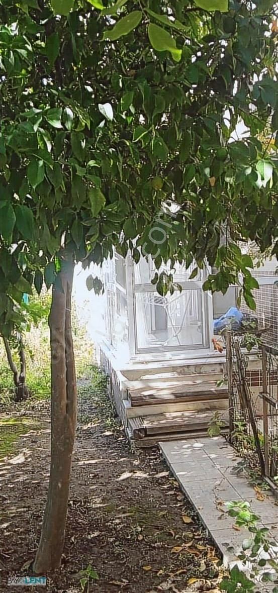 Edremit Tahtakuşlar Da Denize 600 Mt. Tripleks Villamız Satılık - Görsel 5