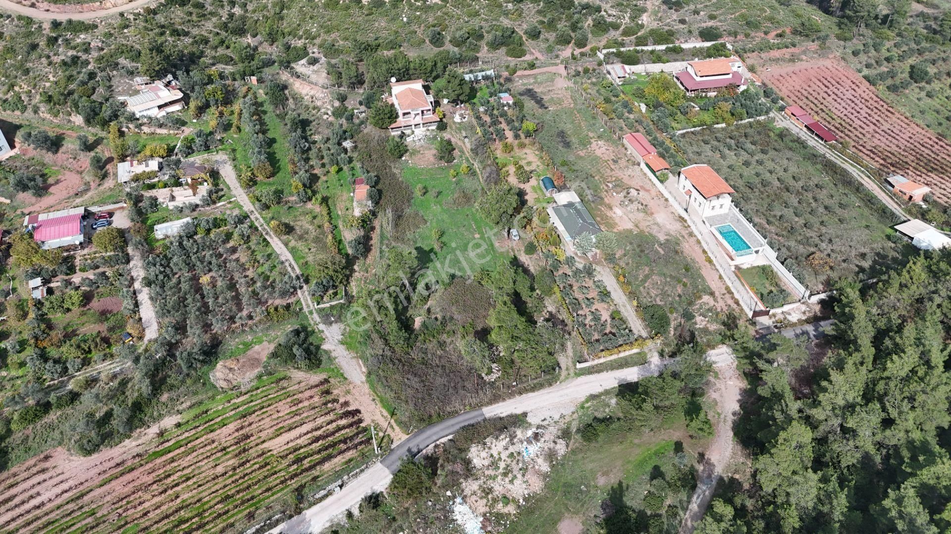 İzmir Menderes Yeniköyde 5685 M2 Tek Tapu Malikhane Ev Bahçe Bakımsız - Görsel 25