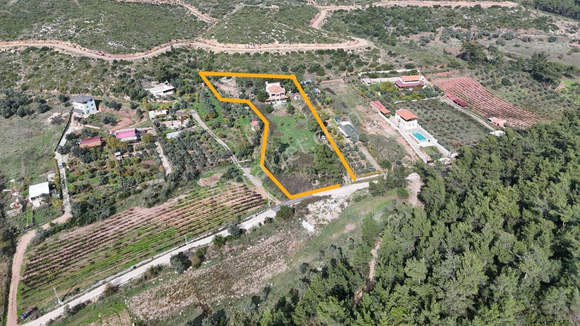 İzmir Menderes Yeniköyde 5685 M2 Tek Tapu Malikhane Ev Bahçe Bakımsız