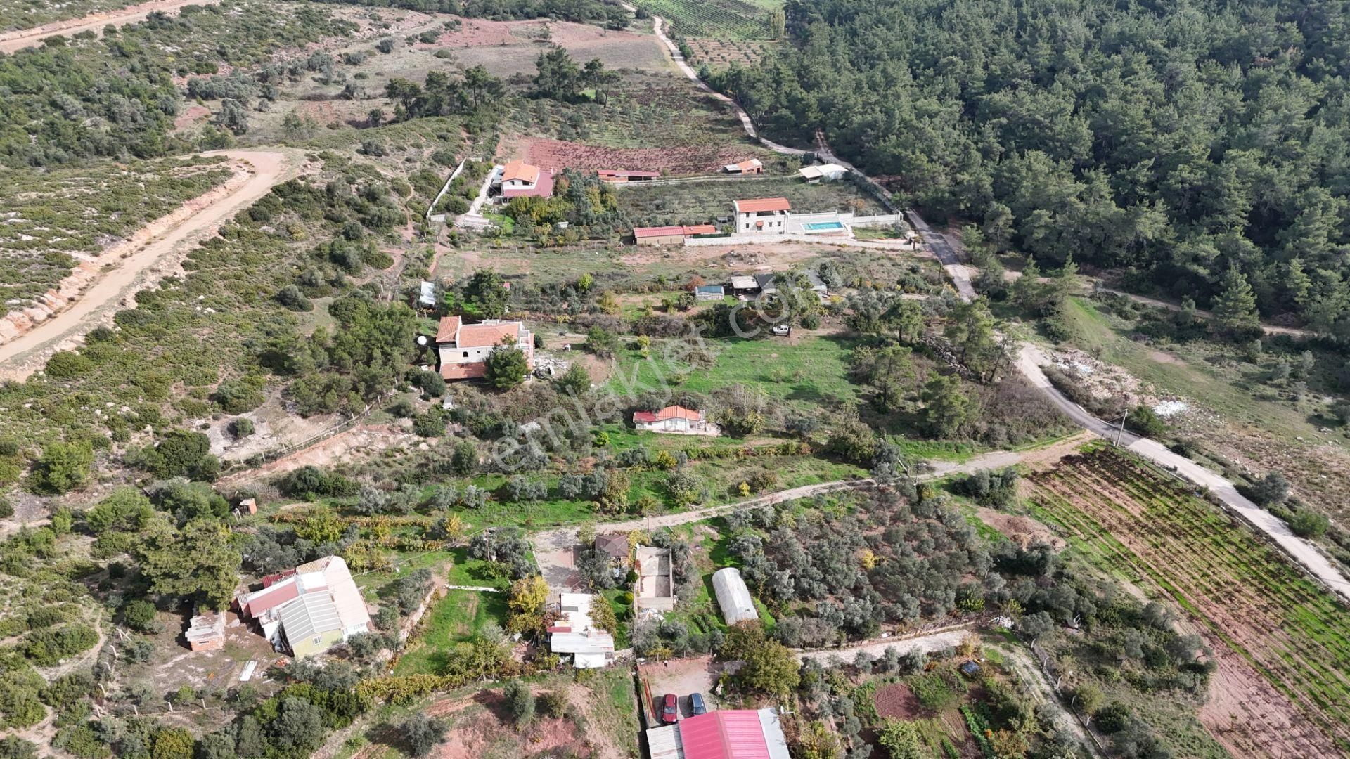 İzmir Menderes Yeniköyde 5685 M2 Tek Tapu Malikhane Ev Bahçe Bakımsız - Görsel 29