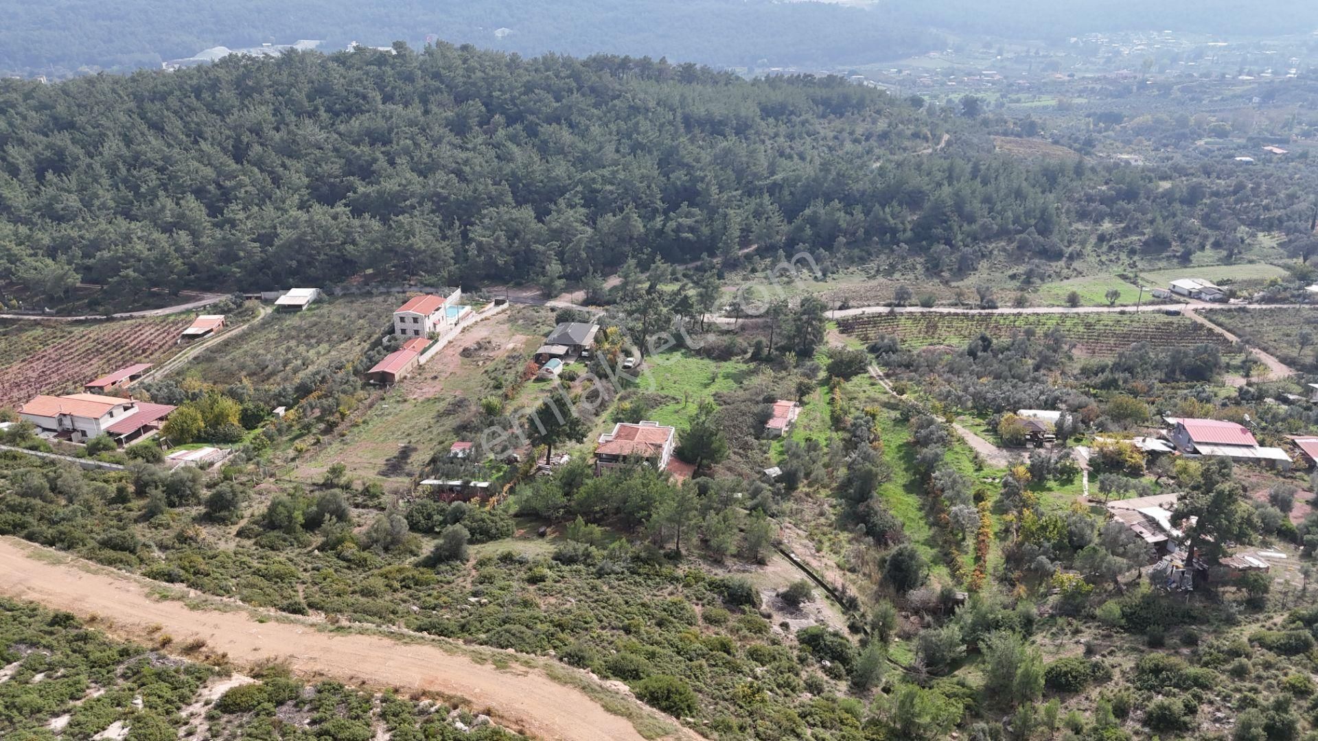 İzmir Menderes Yeniköyde 5685 M2 Tek Tapu Malikhane Ev Bahçe Bakımsız - Görsel 18