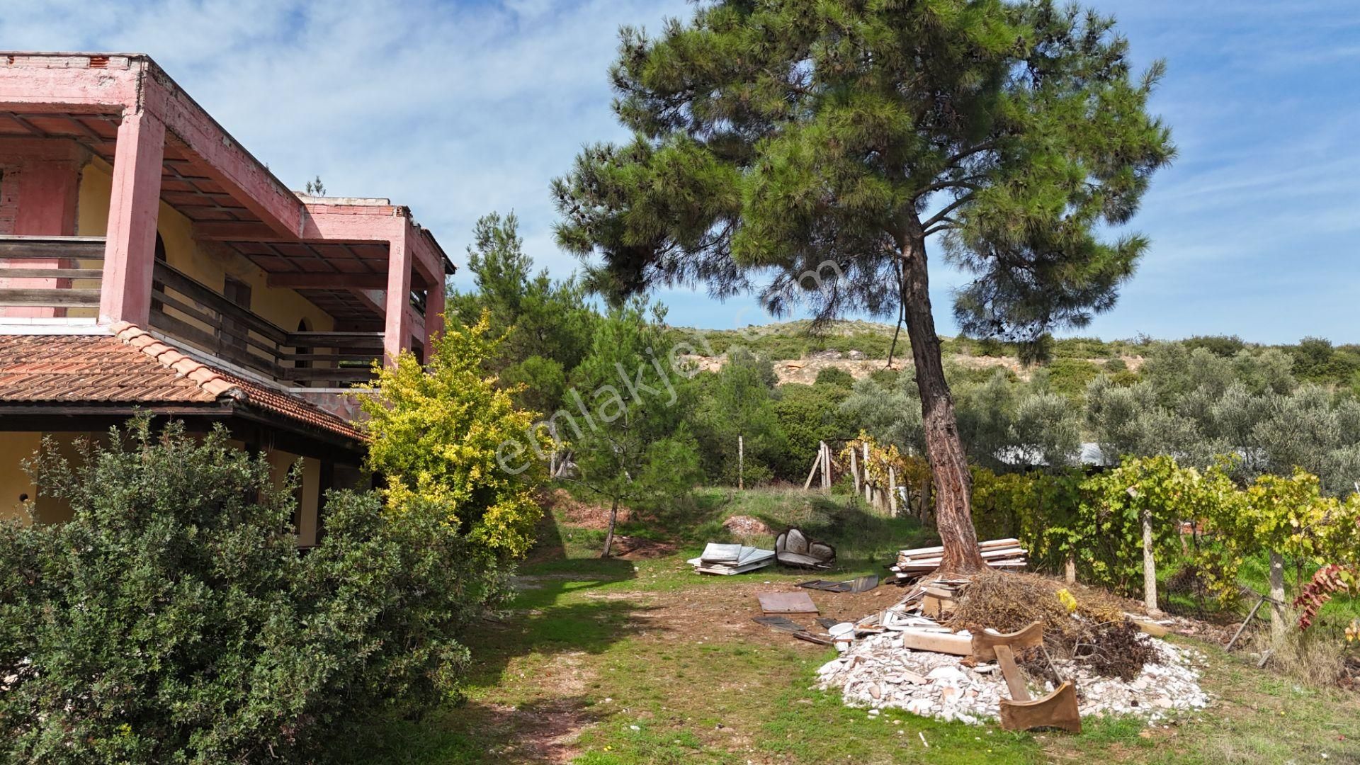 İzmir Menderes Yeniköyde 5685 M2 Tek Tapu Malikhane Ev Bahçe Bakımsız - Görsel 30