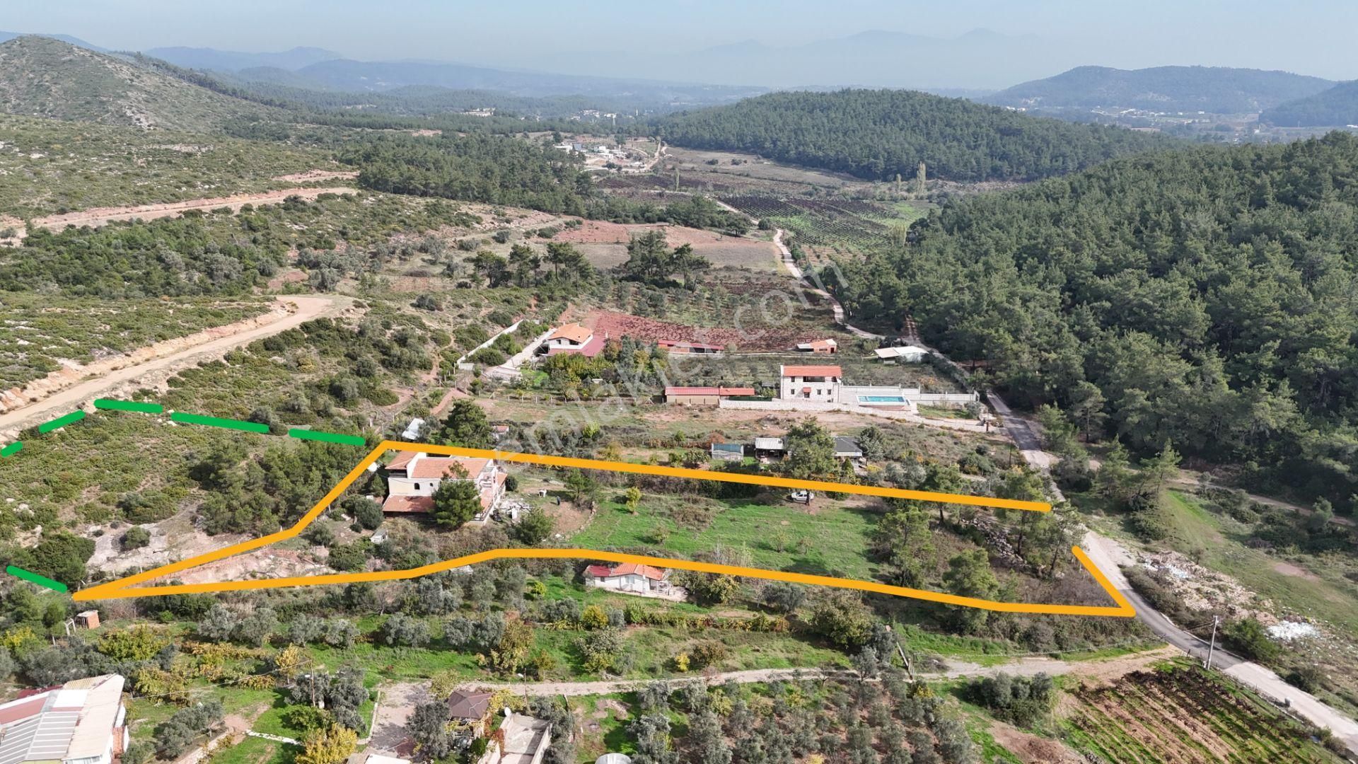 İzmir Menderes Yeniköyde 5685 M2 Tek Tapu Malikhane Ev Bahçe Bakımsız - Görsel 8