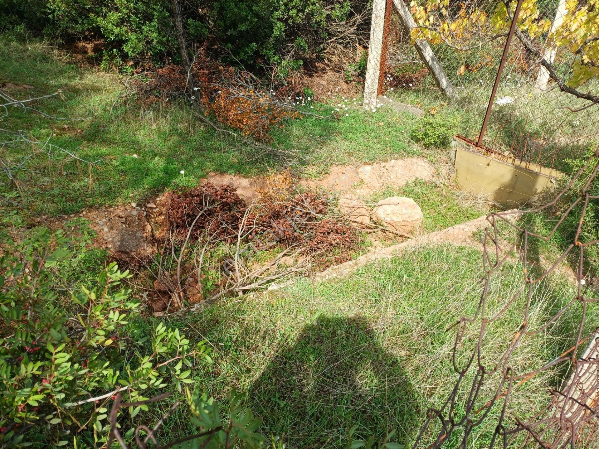 İzmir Menderes Yeniköyde 5685 M2 Tek Tapu Malikhane Ev Bahçe Bakımsız - Görsel 35