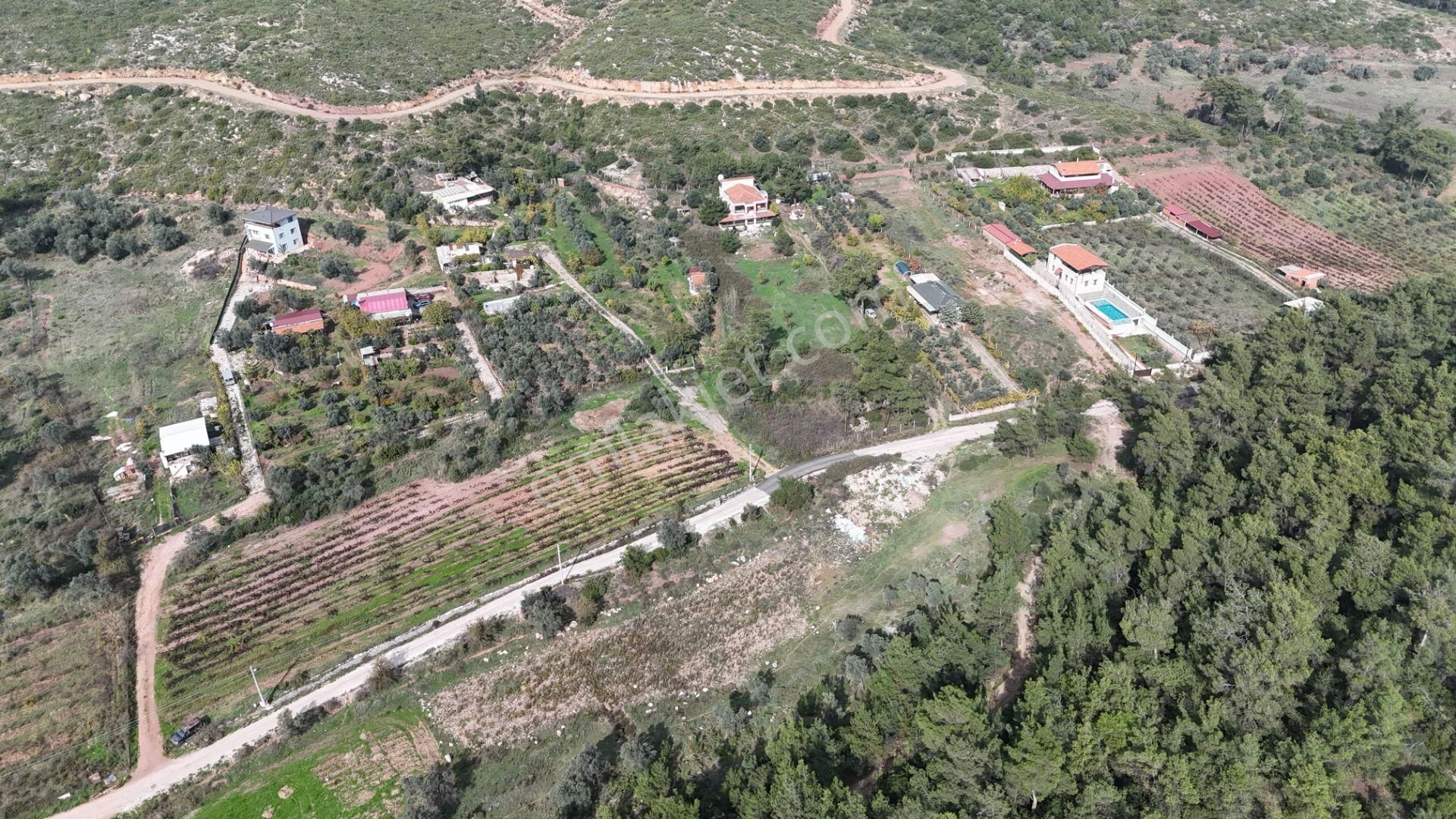 İzmir Menderes Yeniköyde 5685 M2 Tek Tapu Malikhane Ev Bahçe Bakımsız - Görsel 16