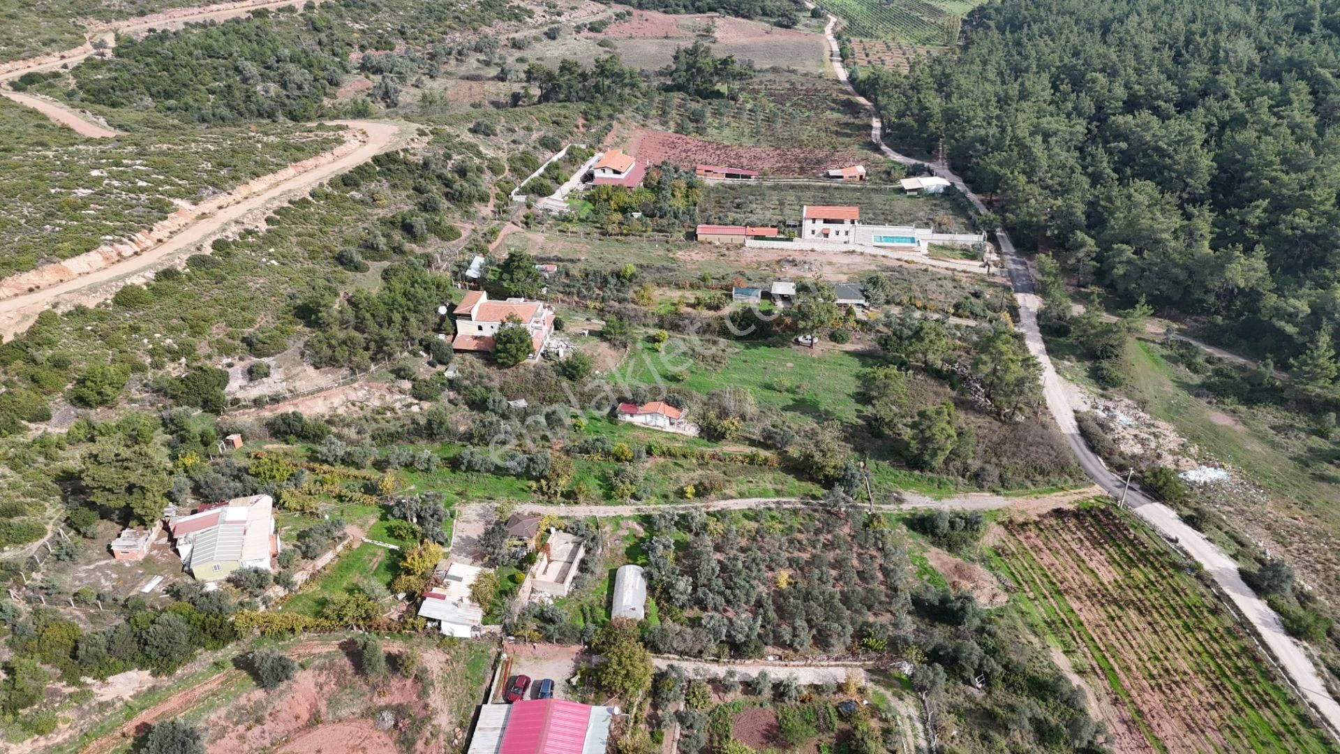 İzmir Menderes Yeniköyde 5685 M2 Tek Tapu Malikhane Ev Bahçe Bakımsız - Görsel 31