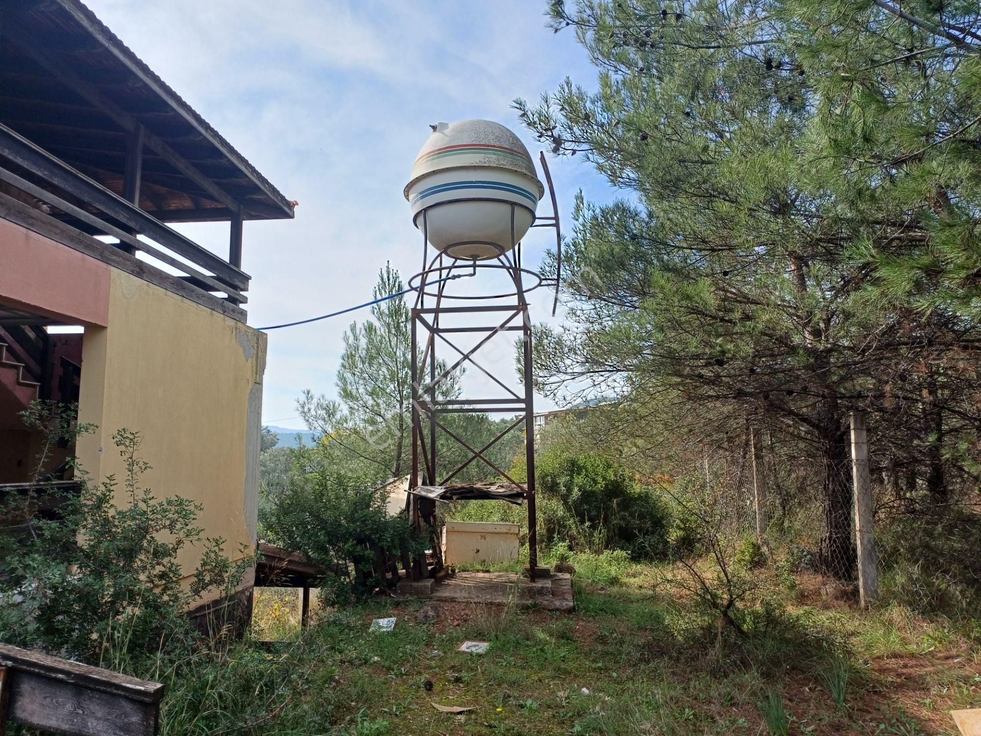 İzmir Menderes Yeniköyde 5685 M2 Tek Tapu Malikhane Ev Bahçe Bakımsız - Görsel 34